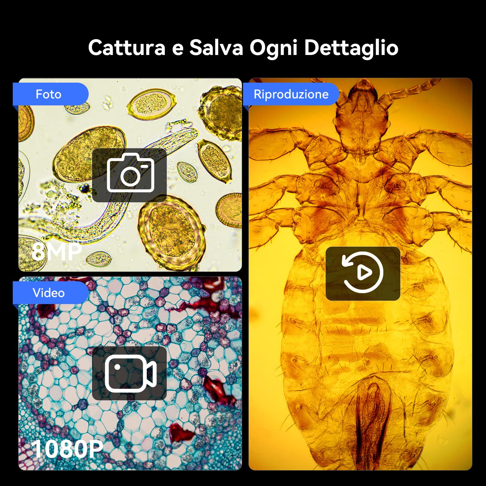 TOMLOV DM301 Max Microscopio Biologico per Adulti Bambini: 7" HDMI Microscopio Digitale con Scala di Misurazione Integrata, 3 Lenti, Tavolino Meccanico, Doppia LED, Compatibile con Telefono, PC&TV