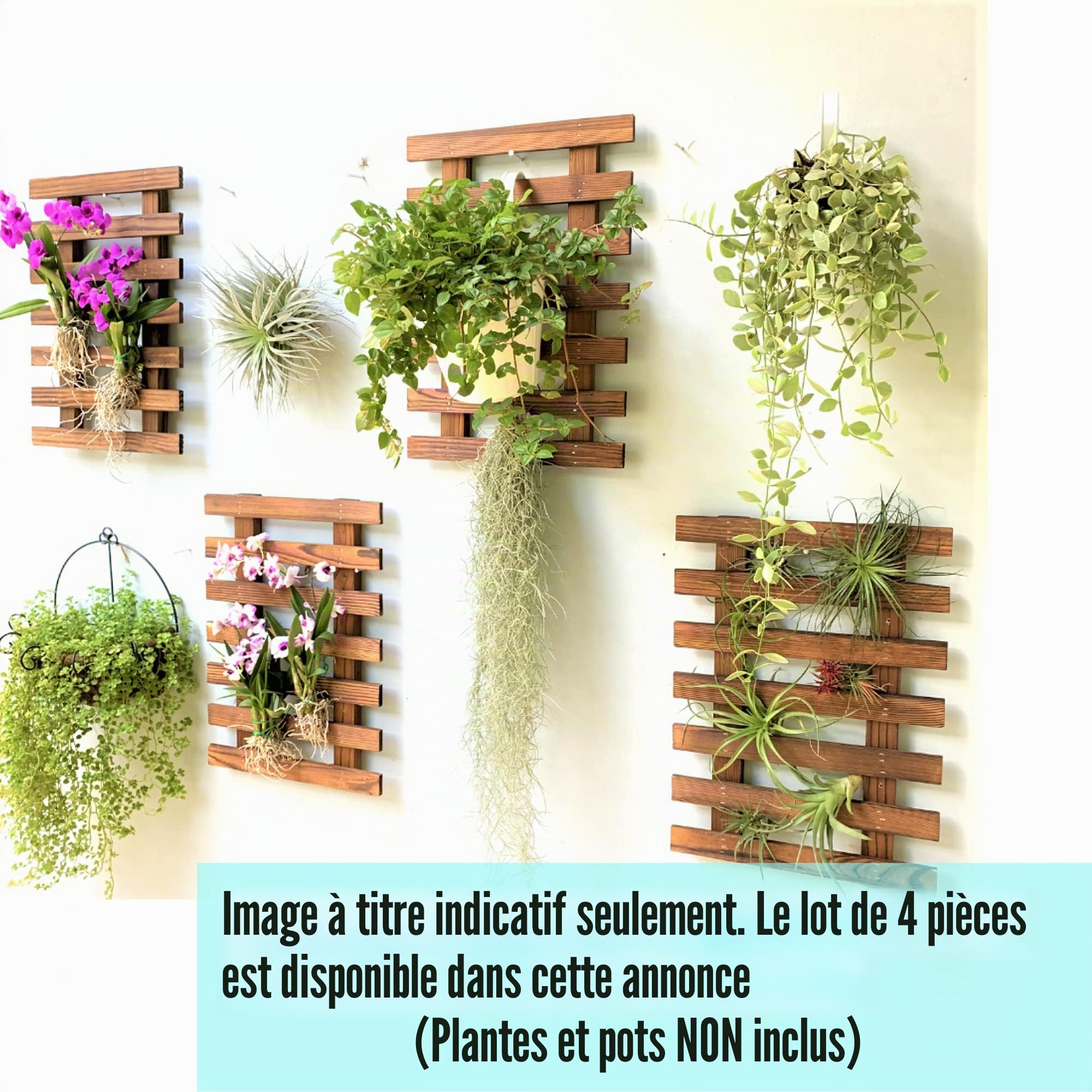 ShopLaLa Jardinière murale – Support en bois pour plantes succulentes d'intérieur et d'extérieur, orchidée vivante Cadre d'affichage vertical pour jardin, balcon, terrasse, salle de bain, Macetas para
