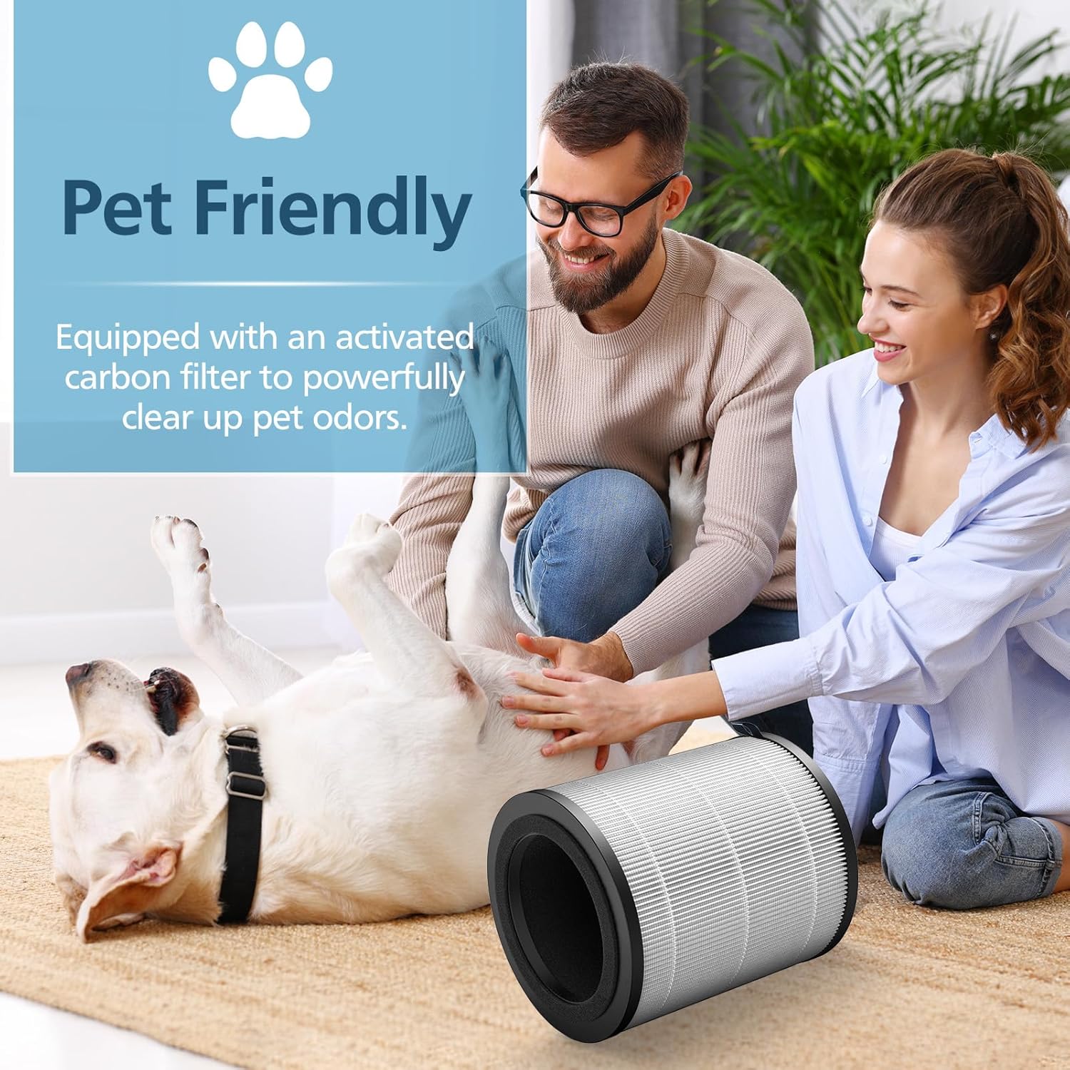 JF100 Replacement Filter Compatible with JF100 Air Purifier, 3-in-1 True HEPA and Activated Carbon Filters, 2 Pack