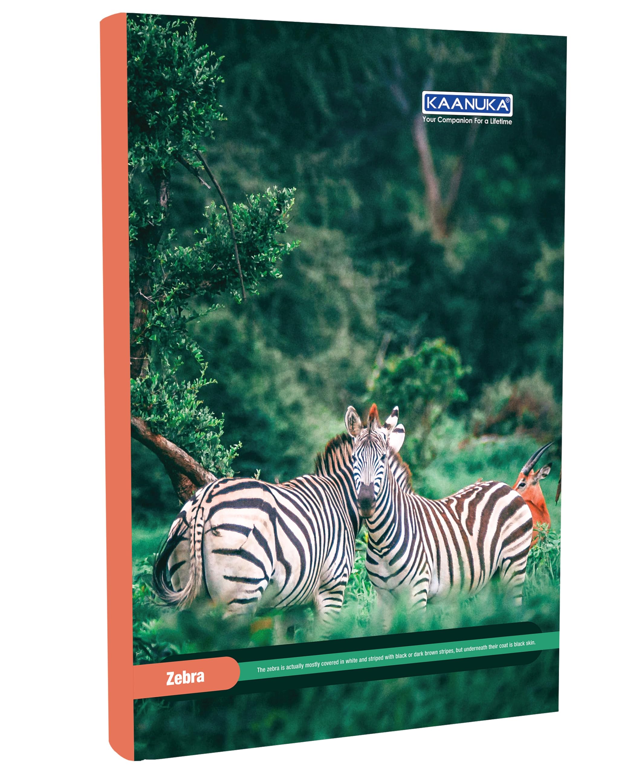 KAANUKA Cuaderno de tamaño largo, 172 páginas, rayado, una sola línea, A4-29,7 cm x 21,0 cm, paquete de 5 cuadernos, cuadernos de tamaño largo de una sola línea para estudiantes escolares y