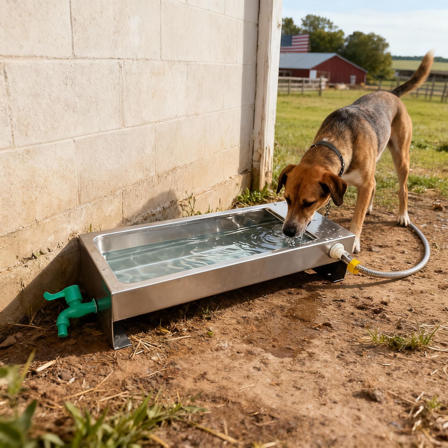 Bevitori automatici per bestiame, abbeveratoi per cavalli con valvola galleggiante da 1/2 di pollice, abbeveratoi di capra per bestiame, cavalli, pecore, cani e kit per abbeveratoi di uccelli di