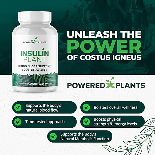 Miniatura 3 de Cápsulas vegetales de insulina – 3000 mg de polvo de hoja de Costus Igneus sin aglutinantes, rellenos ni gluten, suplementos veganos sin OMG para