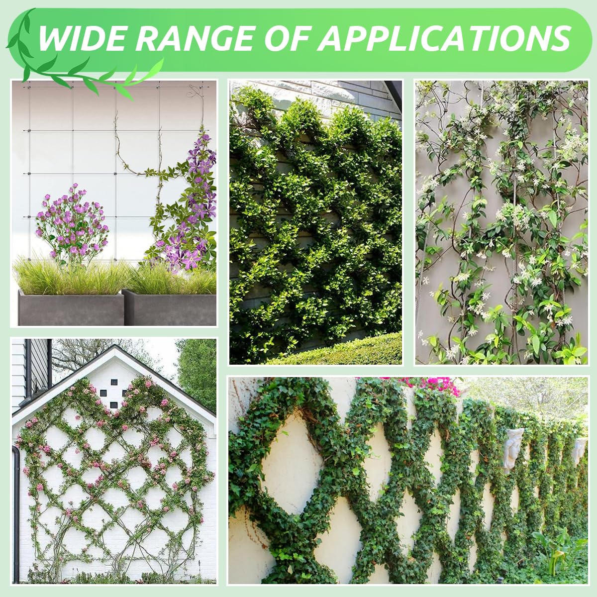 Rankhilfe aus Edelstahl für Kletterpflanzen, für Garten/Mauer/Beton/Zaun | 30M Spalier auf Plantagenstandard, mit 3 mm Durchmesser, Set Drahtseile System Kit für Pflanzen mit Wall Mount Brackets