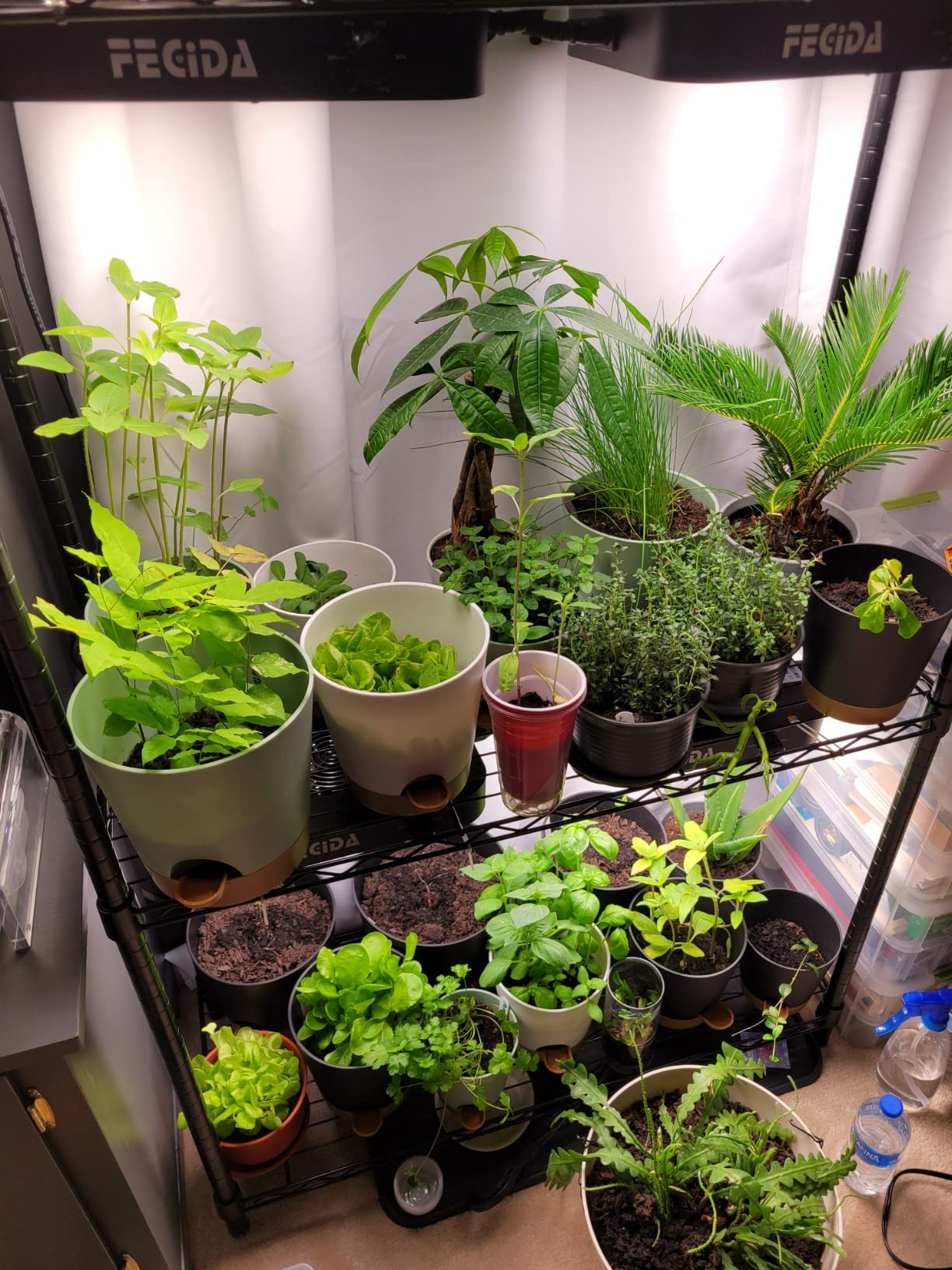 11/mo Finance FECiDA 600W LED Grow Light Dimmable, 2023 Best LED