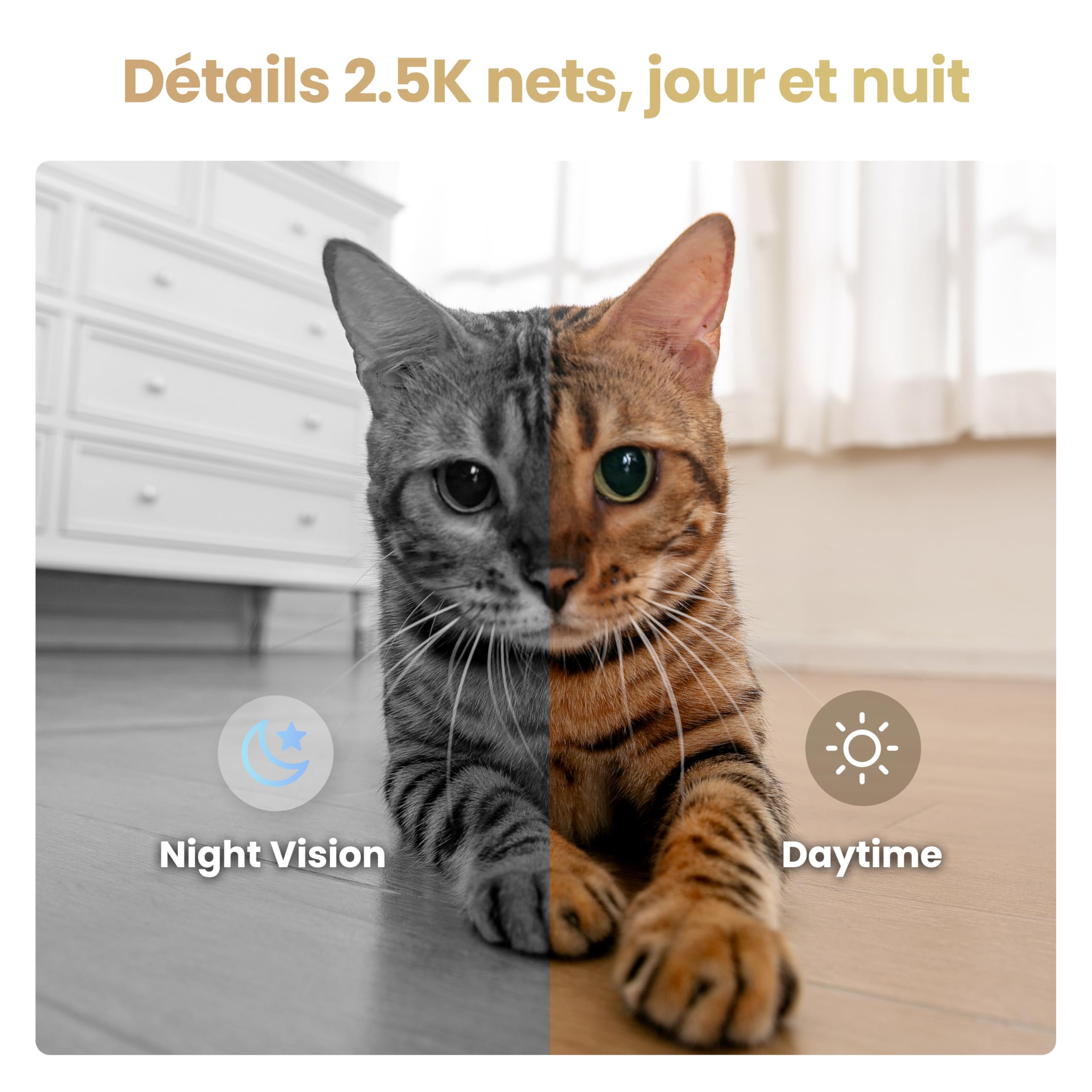 Enabot EBO Air 2S FamilyBot – Robot Caméra Animaux 2,5K, Batterie 9–10H, Suivi IA, Patrouille, Vidéo Bidirectionnelle, Recharge Auto, Stockage Local – Chats, Chiens et Famille