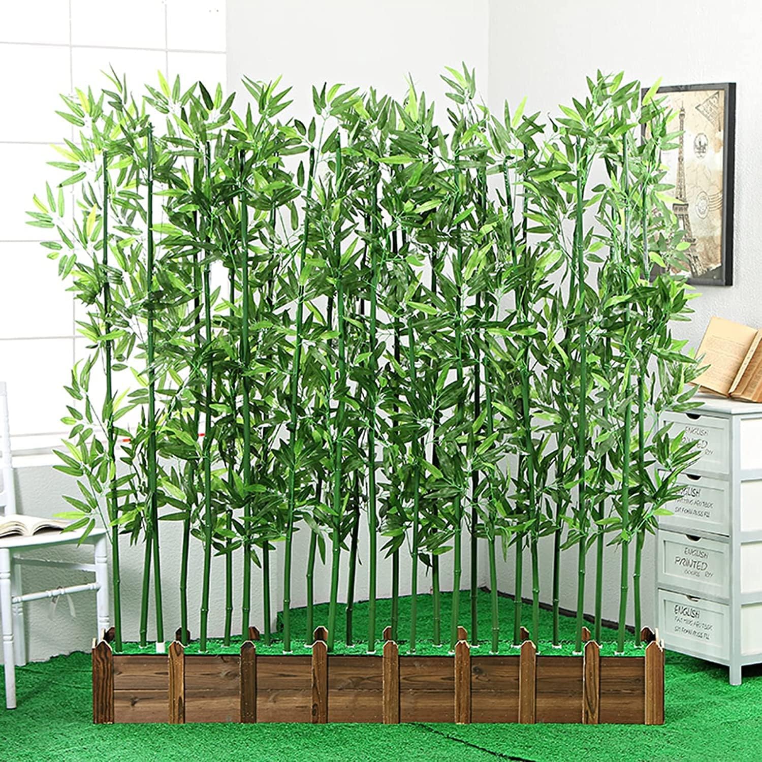 現品 フィカス ゴムの木 アルテシマ フィカスアルテシマ 曲がり 3番