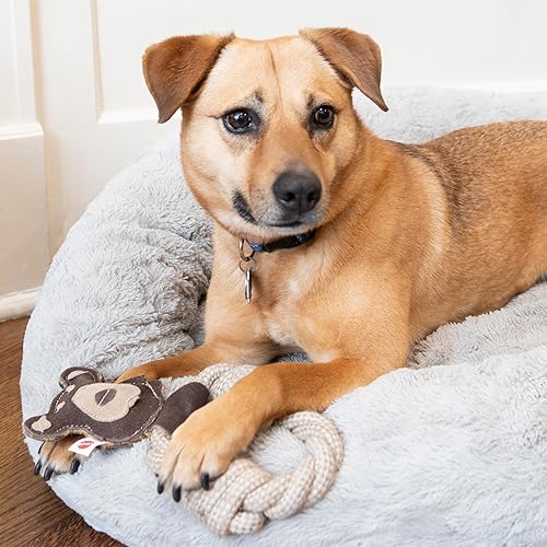 Miniatura 8 de SPOT Dura-Fused - Anillos de cuero de animales – Juguete de cuerda para perro, hecho con cuero real y tela de yute, anillo de cuerda duradero es