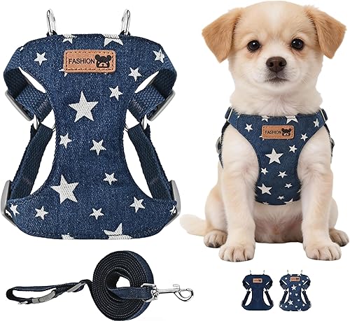 おすすめハーネス・リード・首輪12選