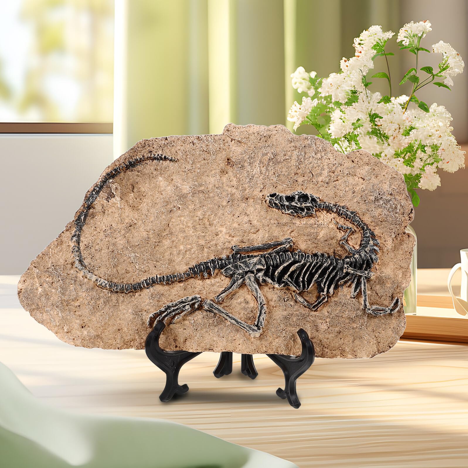 DOITOOL Statua Decorativa Ornamento Realistico per Arredamento di Fossile di Dinosauro in Resina e Regalo Educativi per Ragazza per Casa e Ufficio