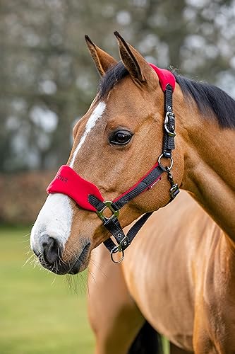 LeMieux Vogue - Cuello de forro polar - Halter y cuerda de plomo