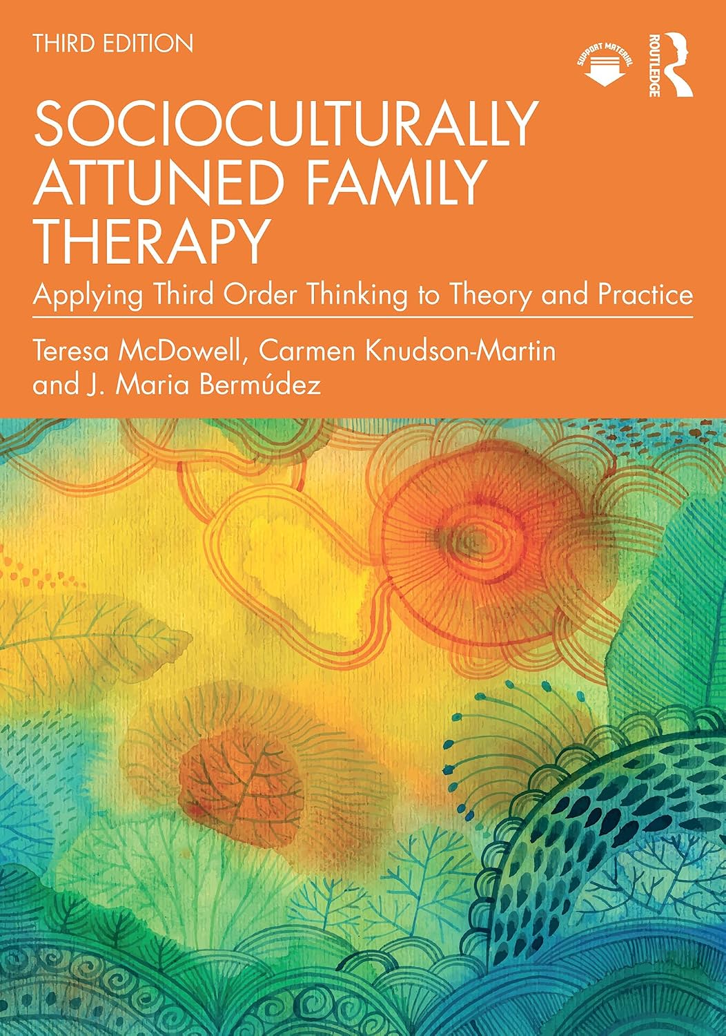Socioculturally Attuned Family Therapy: Applying Third Order Thinking to Theory and Practice