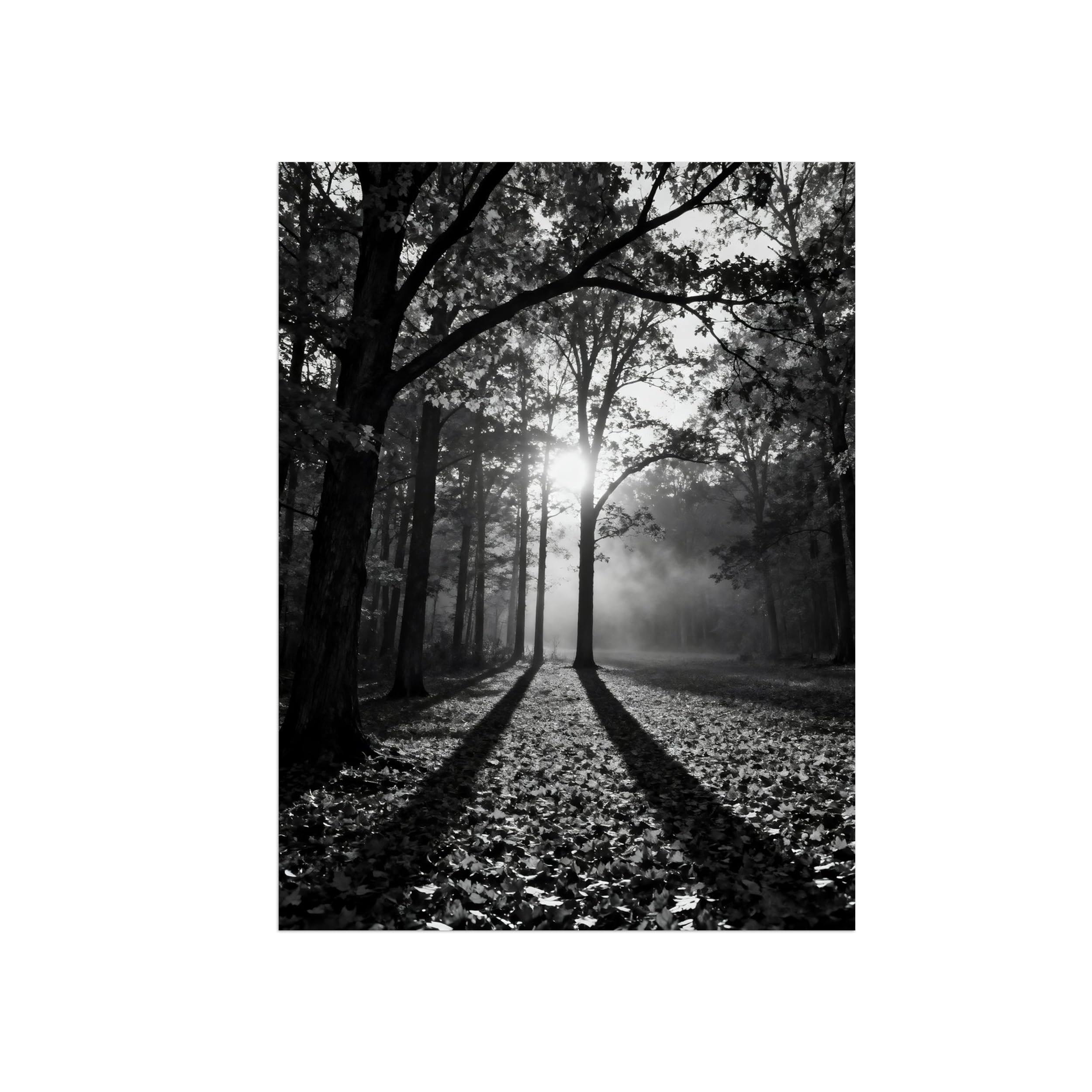 Black White Landscape Wall Art. Forest Meadow. Picture 90x117cm Framed