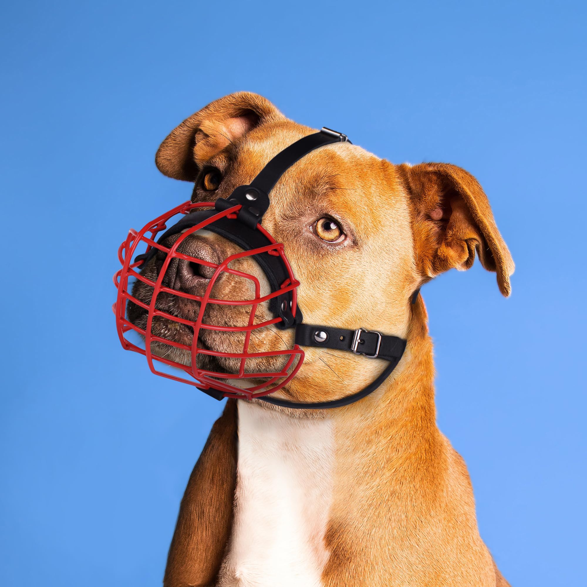 Pitbull - Bozal para perro, máscara de metal, cesta de alambre segura, correas de cuero ajustables y duraderas para perros grandes (rojo)