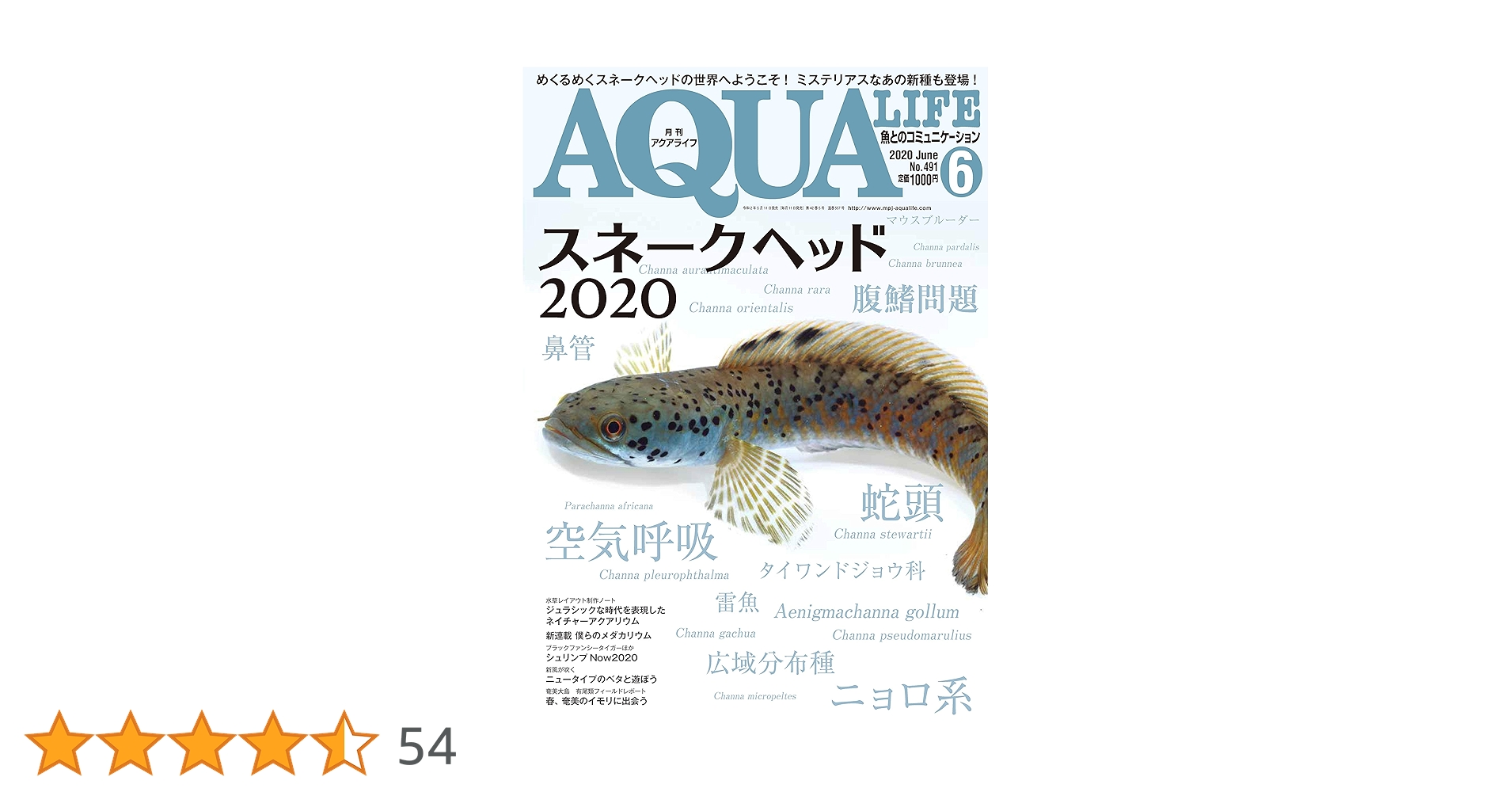 月刊アクアライフ 2020年06月号 スネークヘッド2020 |本 | 通販