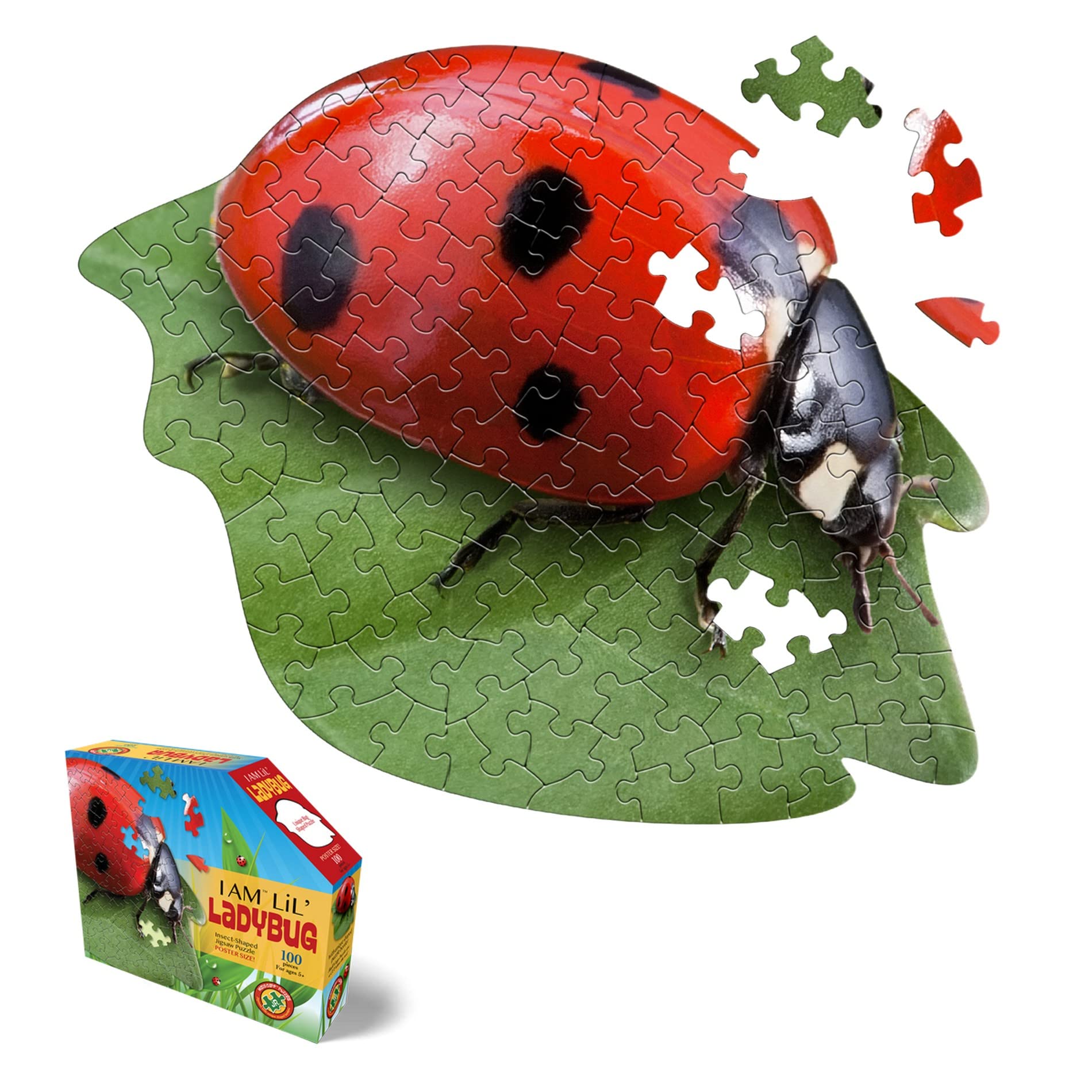 Amazon.com: Madd CAPP Lil' Ladybug 100 Piece Jigsaw Puzzle for