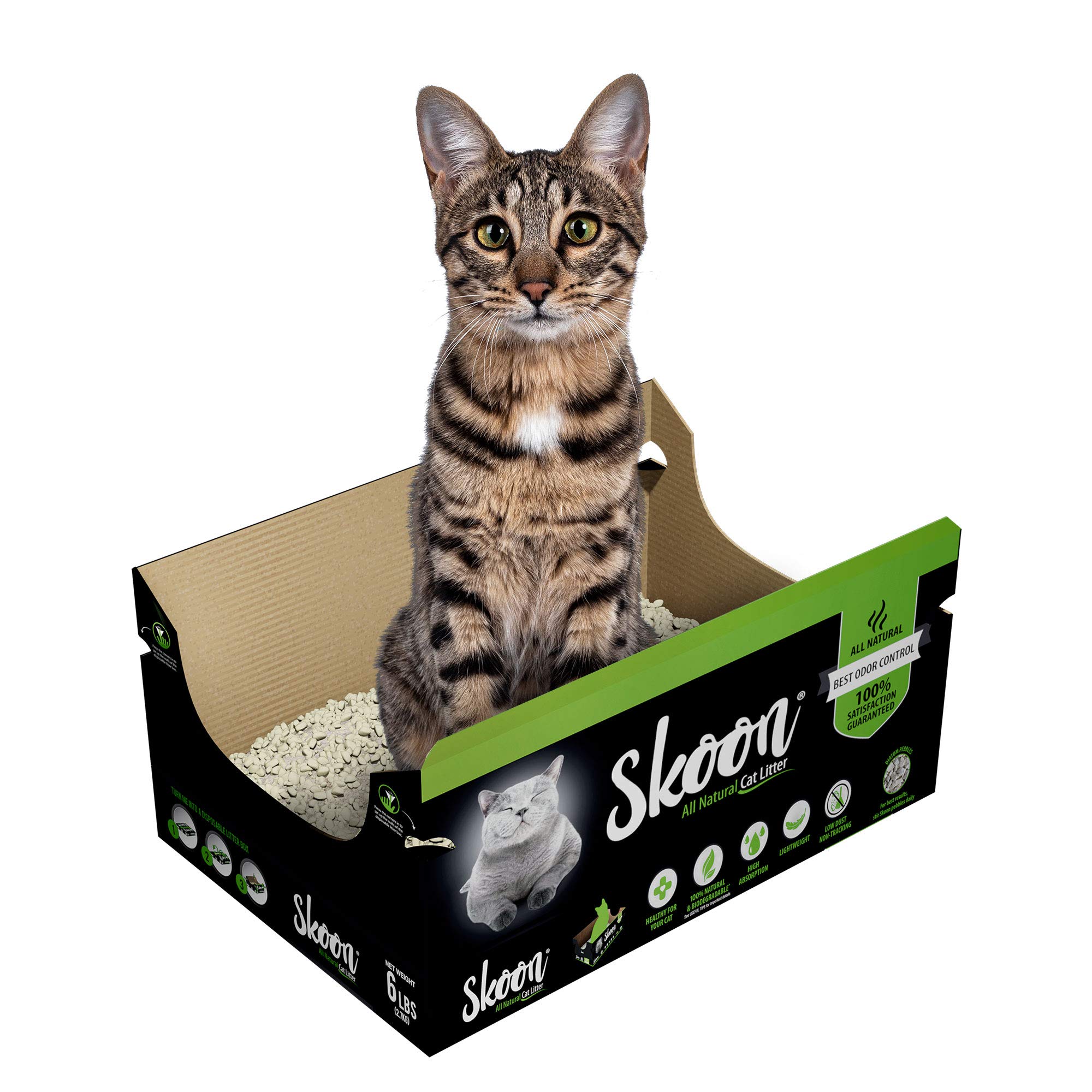 Buy Skoon AllNatural 6 LB Disposable Cat Litter Box, LightWeight, Non