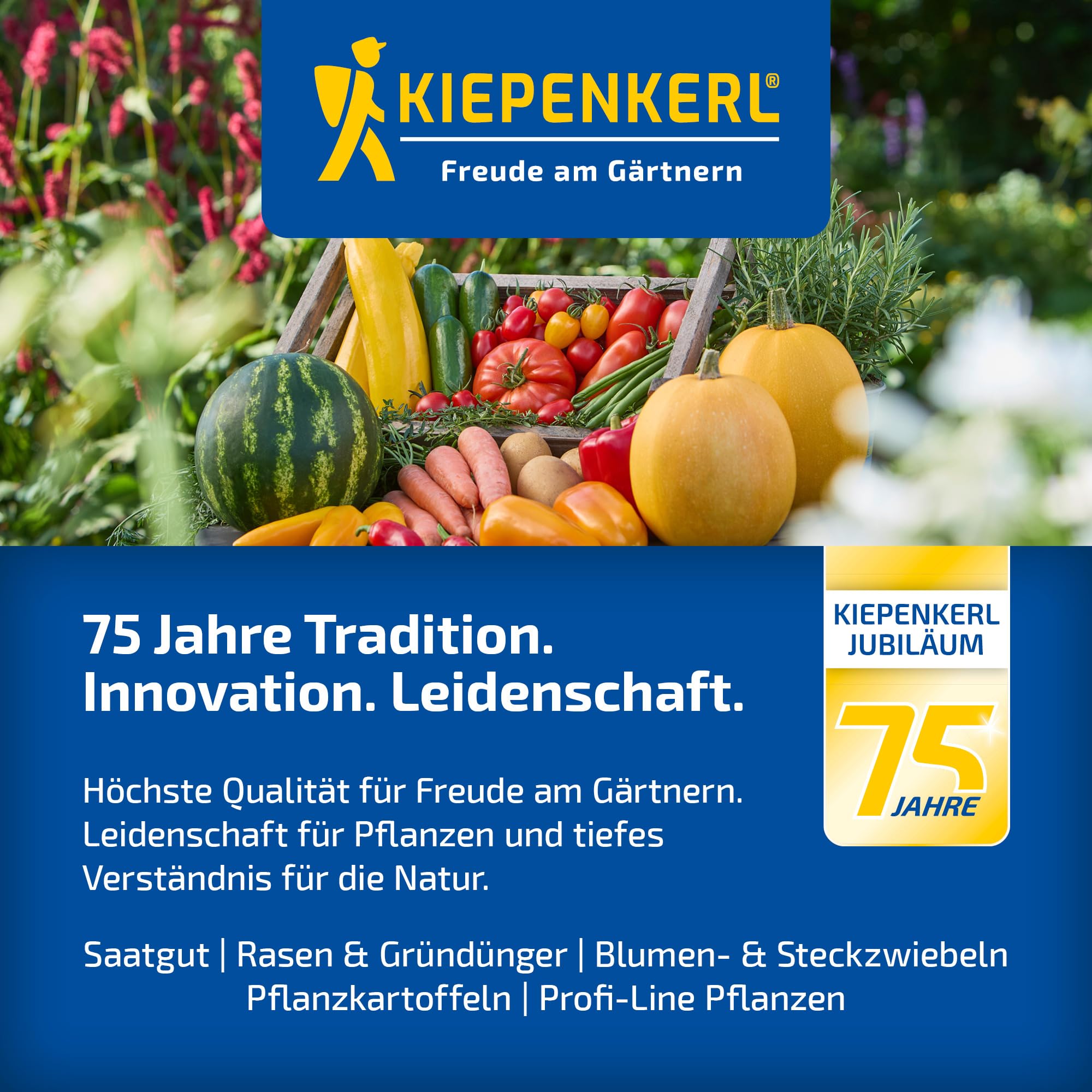 Kiepenkerl Rasen Nachsaat-Booster Grassamen | 1,8kg für 70m², Schnellkeimend, Strapazierfähig, Spiel- & Sportrasen, Dichter Traumrasen in wenigen Tagen