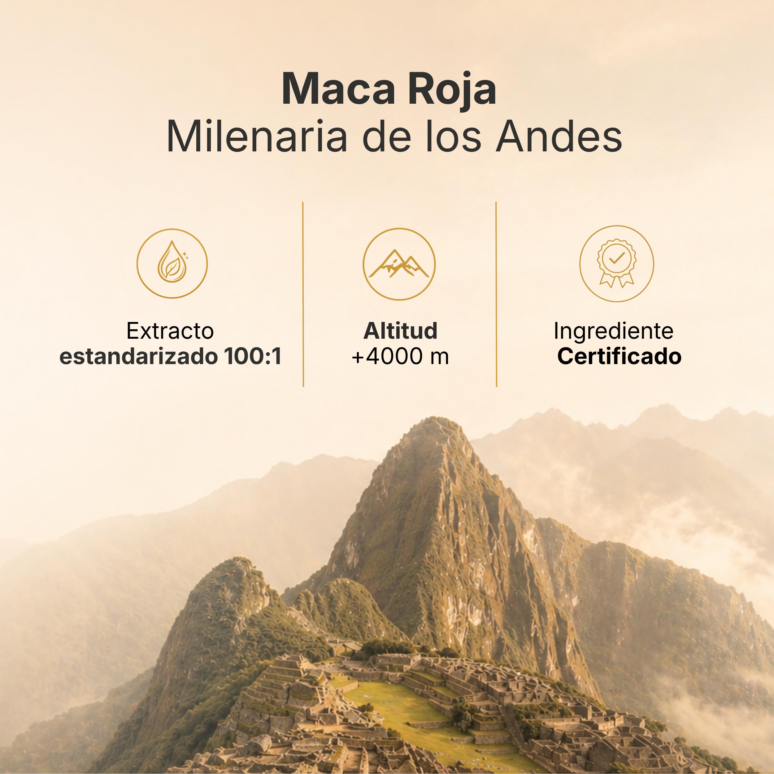 Maca Roja Mujer con Salvia, Fenogreco y Damiana - Apoyo Hormonal Femenino, Energía y Bienestar - 25.000 mg Equivalentes de Maca Roja en Polvo - 180 Cápsulas, 60 Dosis - Nyvos