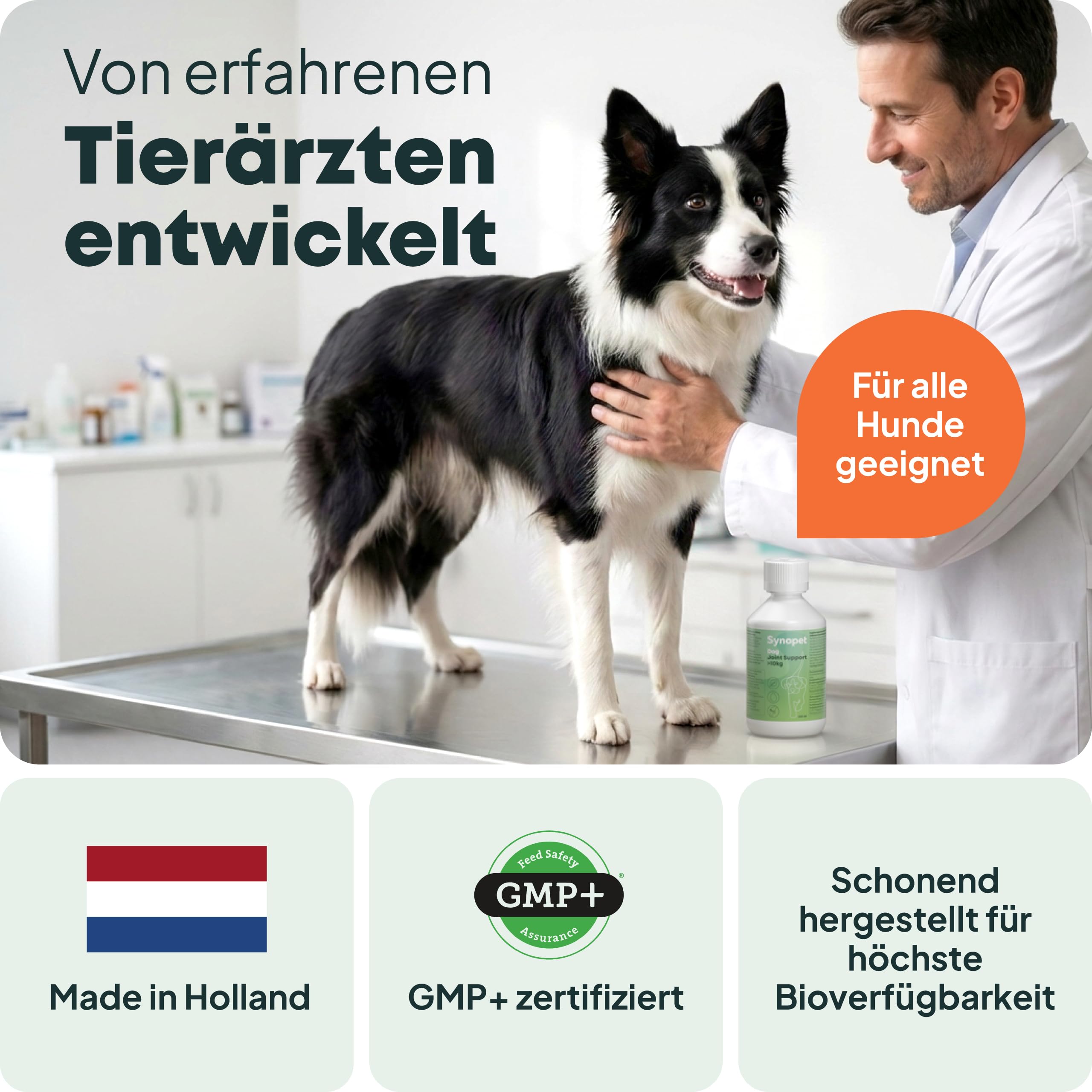 Dog Joint Support Grünlippmuschel Hund 200 ml I Flüssiges Gelenkpräparat für Hunde I Mit Curcumin & Schwarzem Johannisbeerblatt I Unterstützt Knorpel & Beweglichkeit