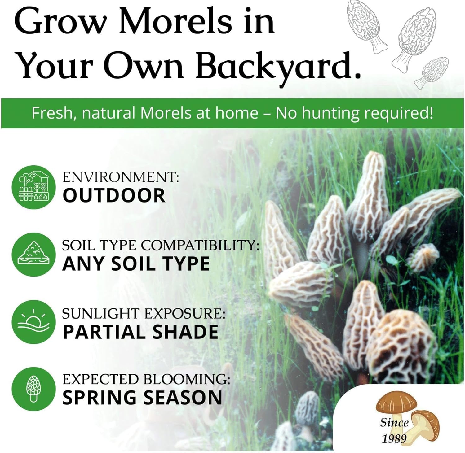 Morel Habitat Kit® & Custom Morel Sticker. Morel Habitat Kit ® Compatible with Any Soil Type Across The U.S., Outdoor Garden & Backyard Cultivation Set with Full Instructions - Made in The USA
