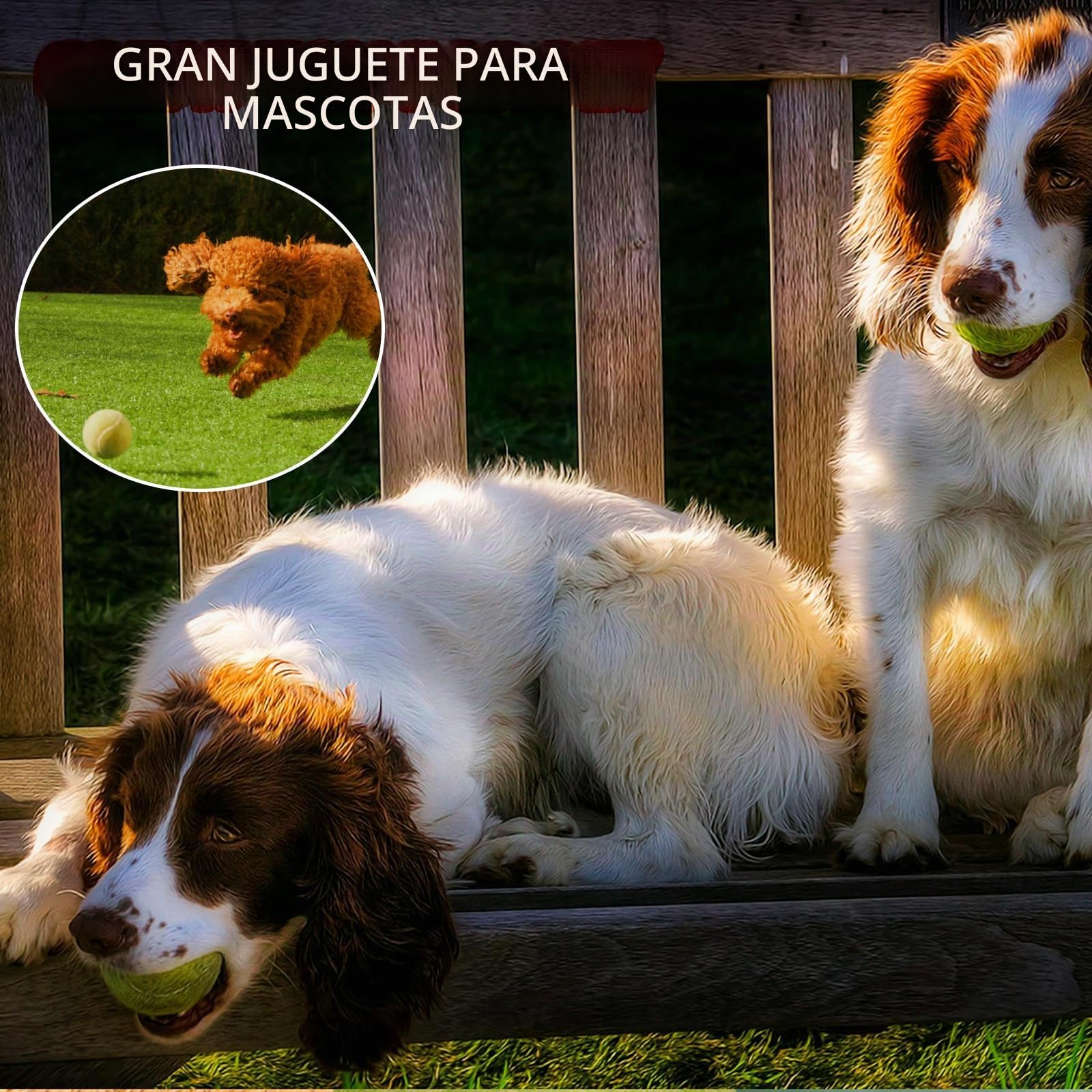 SHYUJAJIE Pelotas de tenis, paquete de 40 pelotas de tenis de entrenamiento, tenis de alta elasticidad para principiantes, pelotas de ejercicio para perros y mascotas