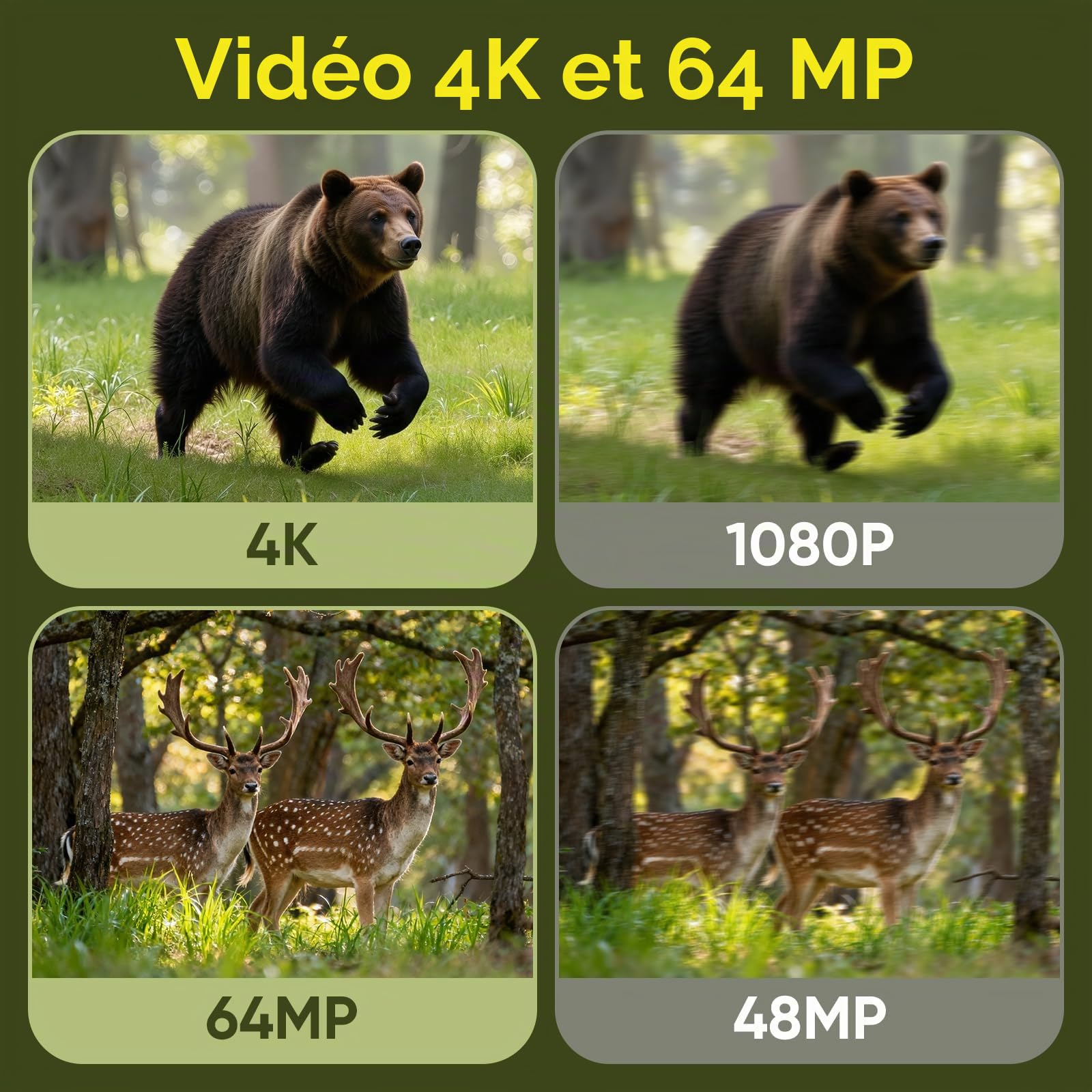 MYPIN Caméra de Chasse 4K 64MP avec WiFi, Énergie Solaire et Vision Nocturne | Batterie Integrée 5000mAh, Étanche IP66, Détection de Mouvement | Carte Mémoire 64GB Incluse
