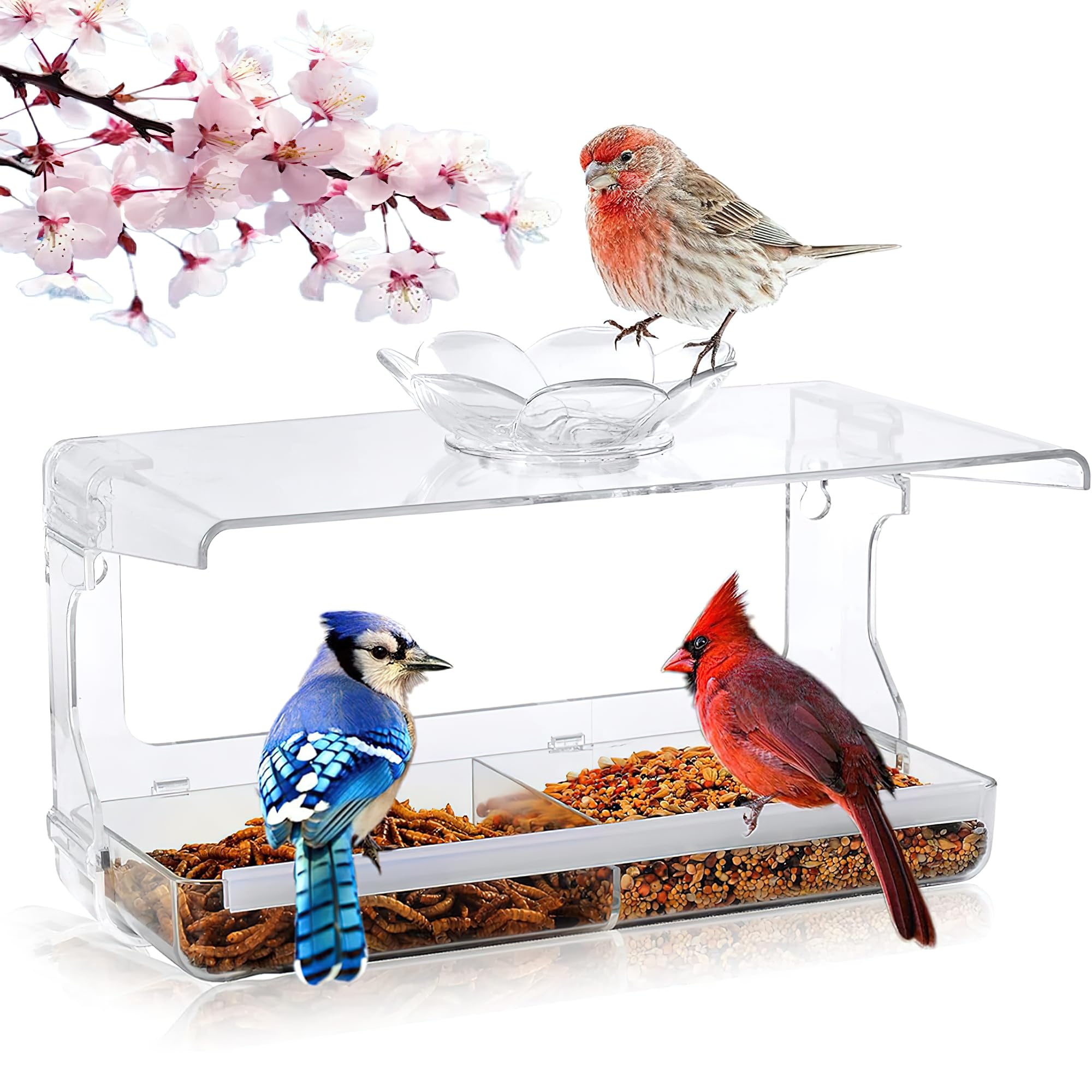 PIVDO Transparent Hanging Bird Feeder for Balcony - Window Bird Feeder for Sparrows, Pigeons, and Hummingbirds - Food and Water Feeding Bowl - Pot Decor for Bird Watching (B0D9F8VLNH) Amazon Price History, Amazon Price Tracker