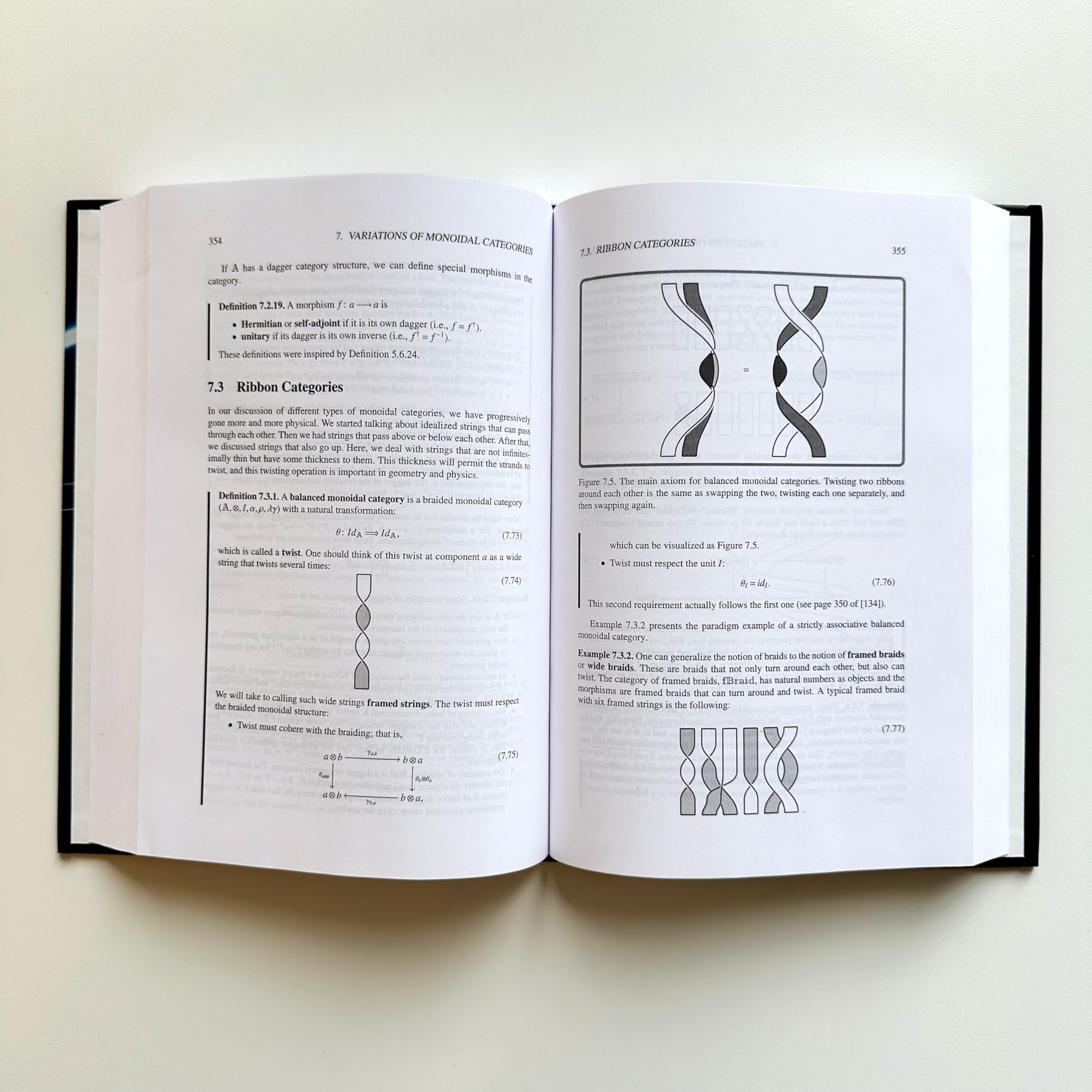 Monoidal Category Theory: Unifying Concepts in Mathematics, Physics, and Computing