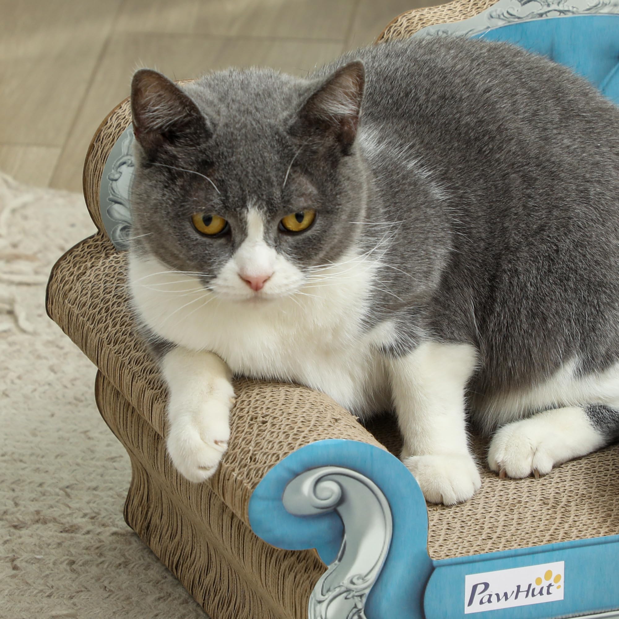PawHut Tabla rascadora para Gatos 2 en 1 de cartón con Hierba gatera, Azul | Tabla de rascar de cartón para gatos con hierba gatera, almohadilla para rascar gatos