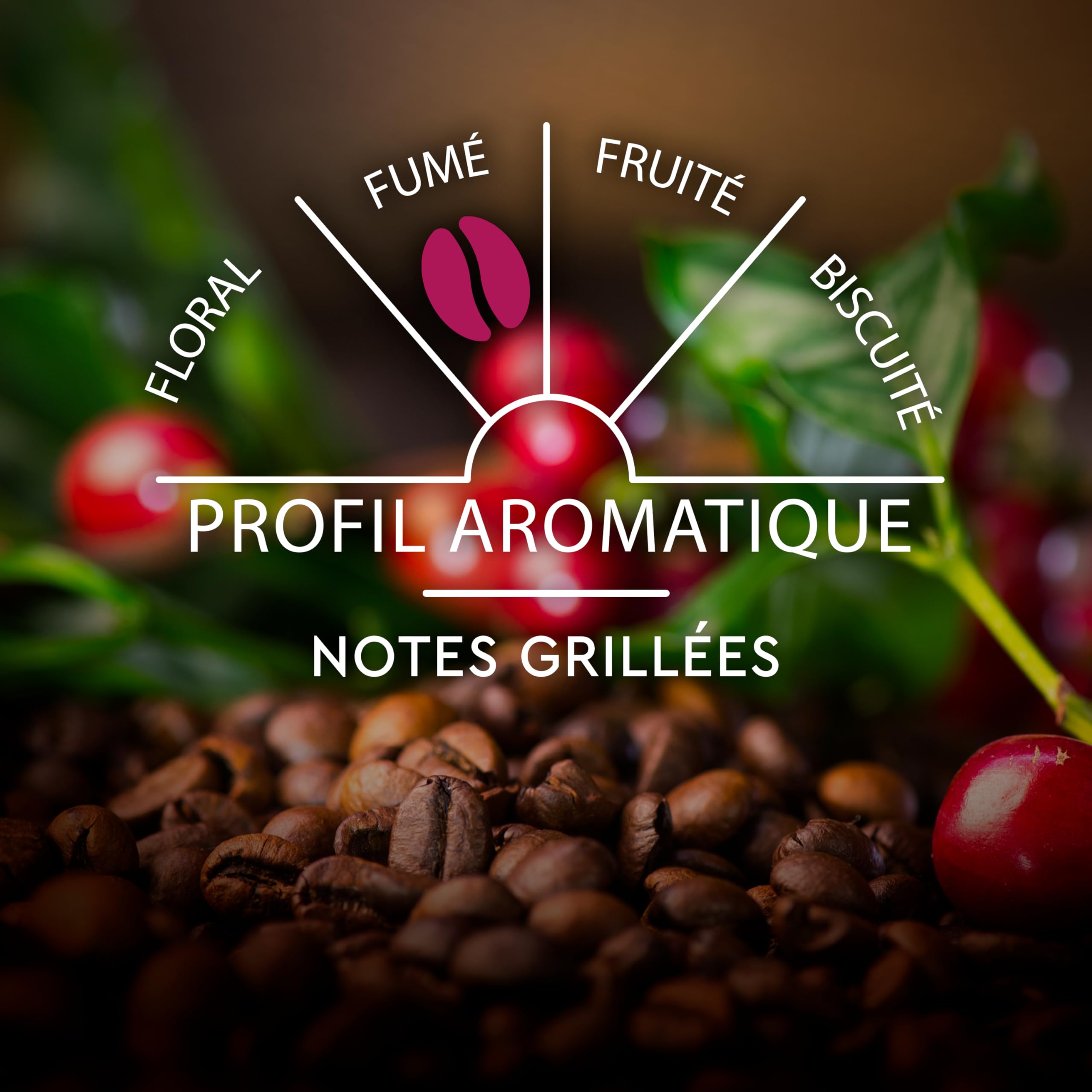 CARTE NOIRE - Capsules de Café Espresso Intense N°9 Compatibles Nespresso® - Café Arabica - Lot de 4 x 60 Capsules Aluminium - Fabriqué en France