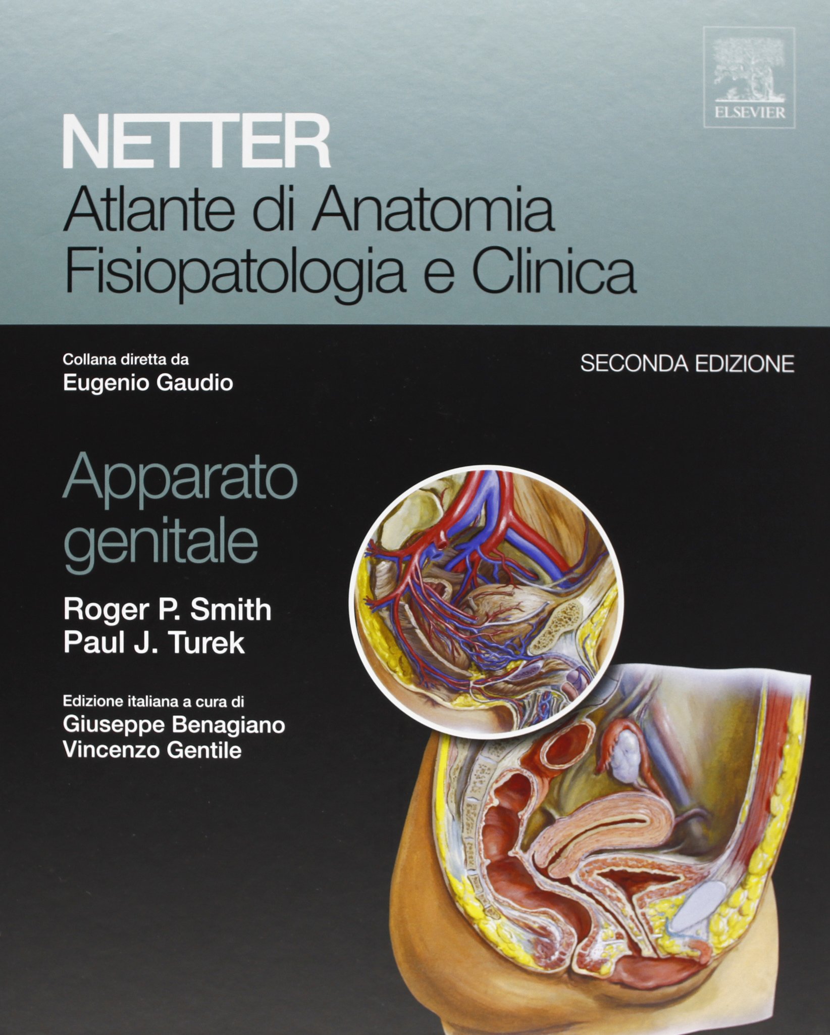 Netter. Atlante di anatomia fisiopatologia e clinica. Apparato genitale