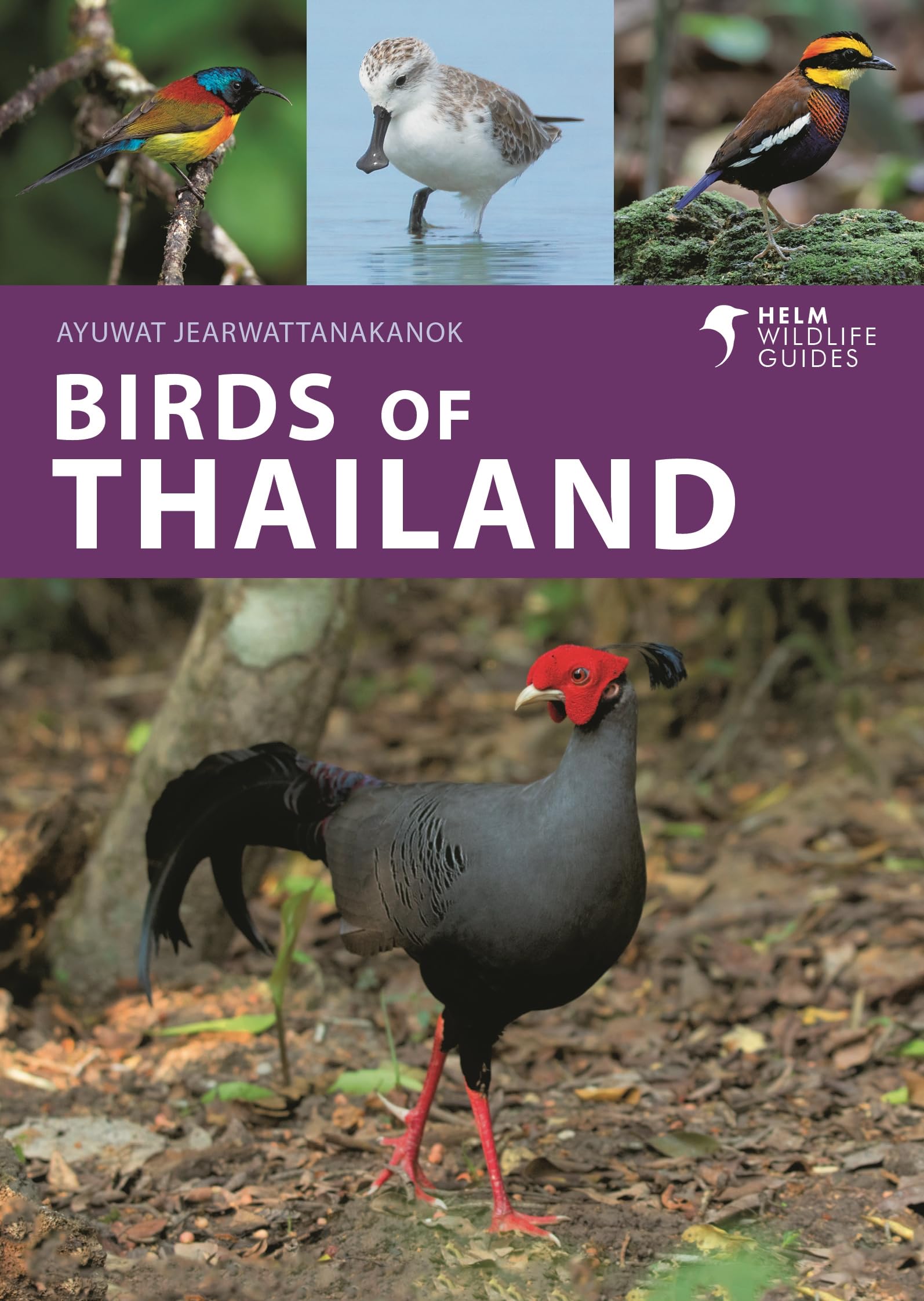 Birds of Thailand (Helm Wildlife Guides)