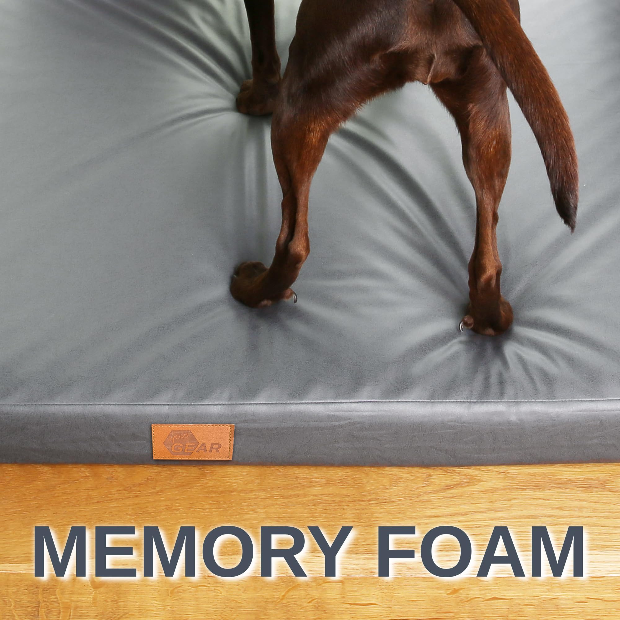 your GEAR Biella - Cama ortopédica para Perros, 100 x 70 x 10 cm, Lavable