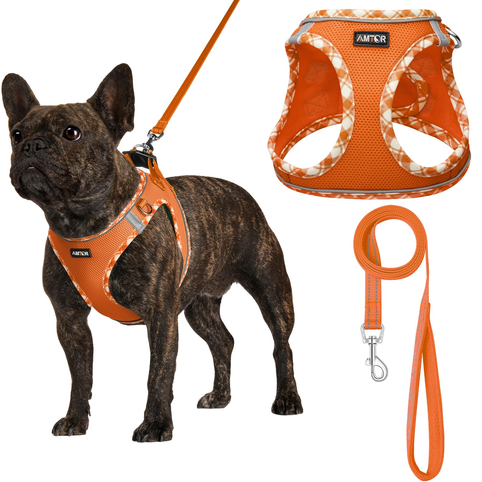 AMTOR Small Dog Harness with Leash Set, No Escape Easy Walk Puppy Harnesses for Training Walking, Step-in Reflective Soft Dogs Vest for XS S Medium