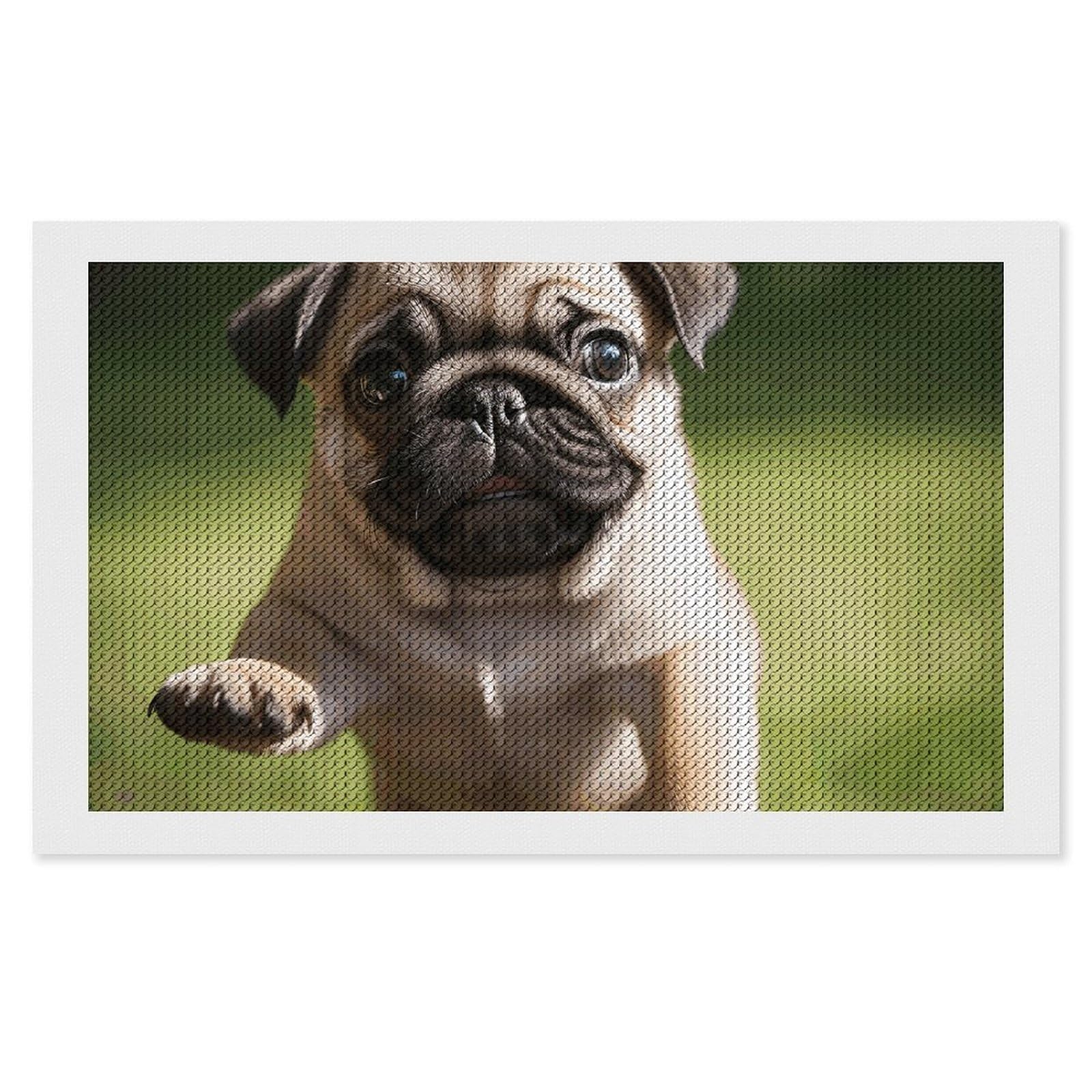 NONHAI Diamond Painting Kits for Adults - DIY Diamond Art Kits for Beginners - Full 5D Paint Drill Diamond Dots Paintings- Pug Puppies Diamonds Pictures Gem Art and Craft Wall Decor 12"x20"