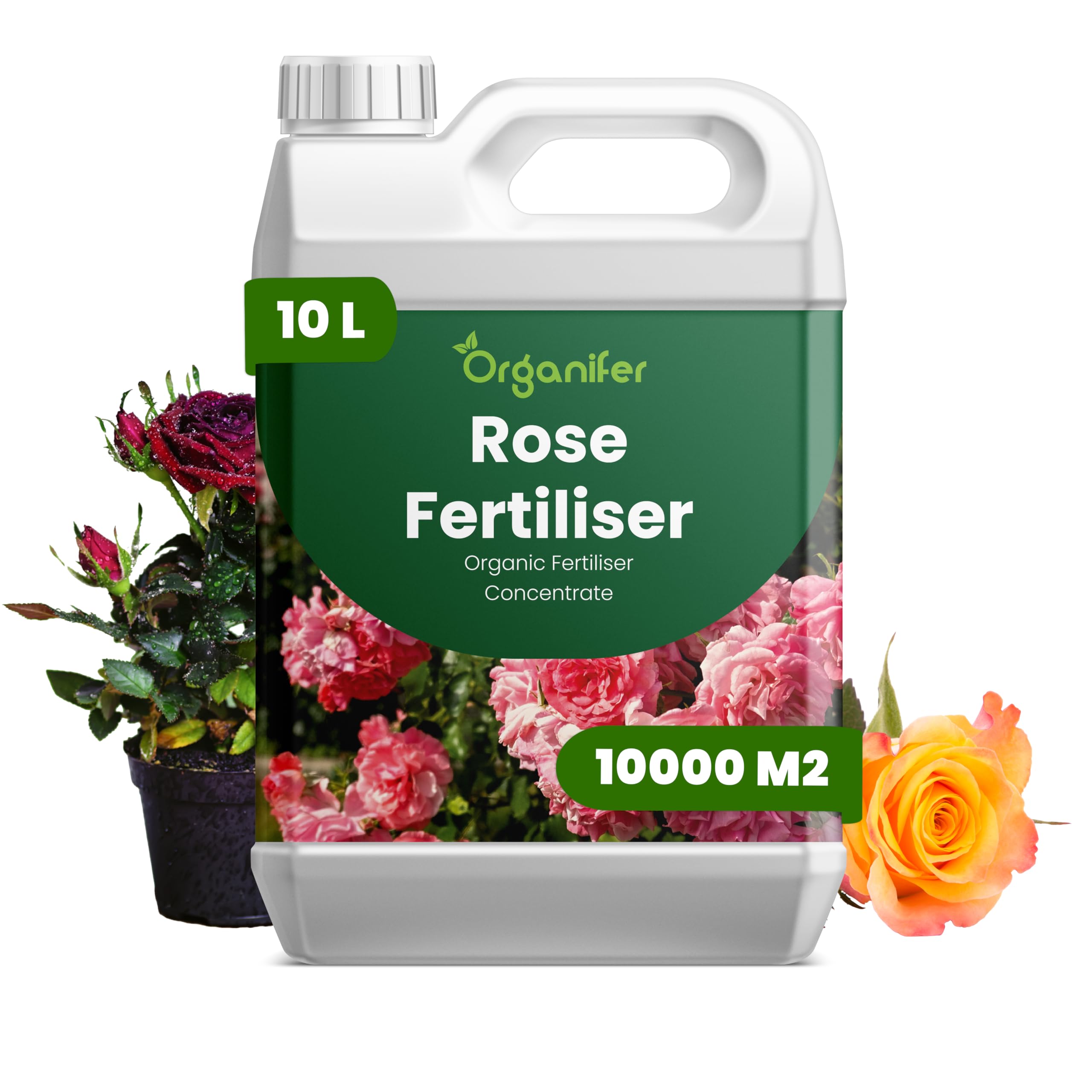 Fertilizzante Liquido Per Rose 10L – Concime Organico Per Fioritura Abbondante E Fogliame Sano – Rafforza Radici E Vitalità – Organifer