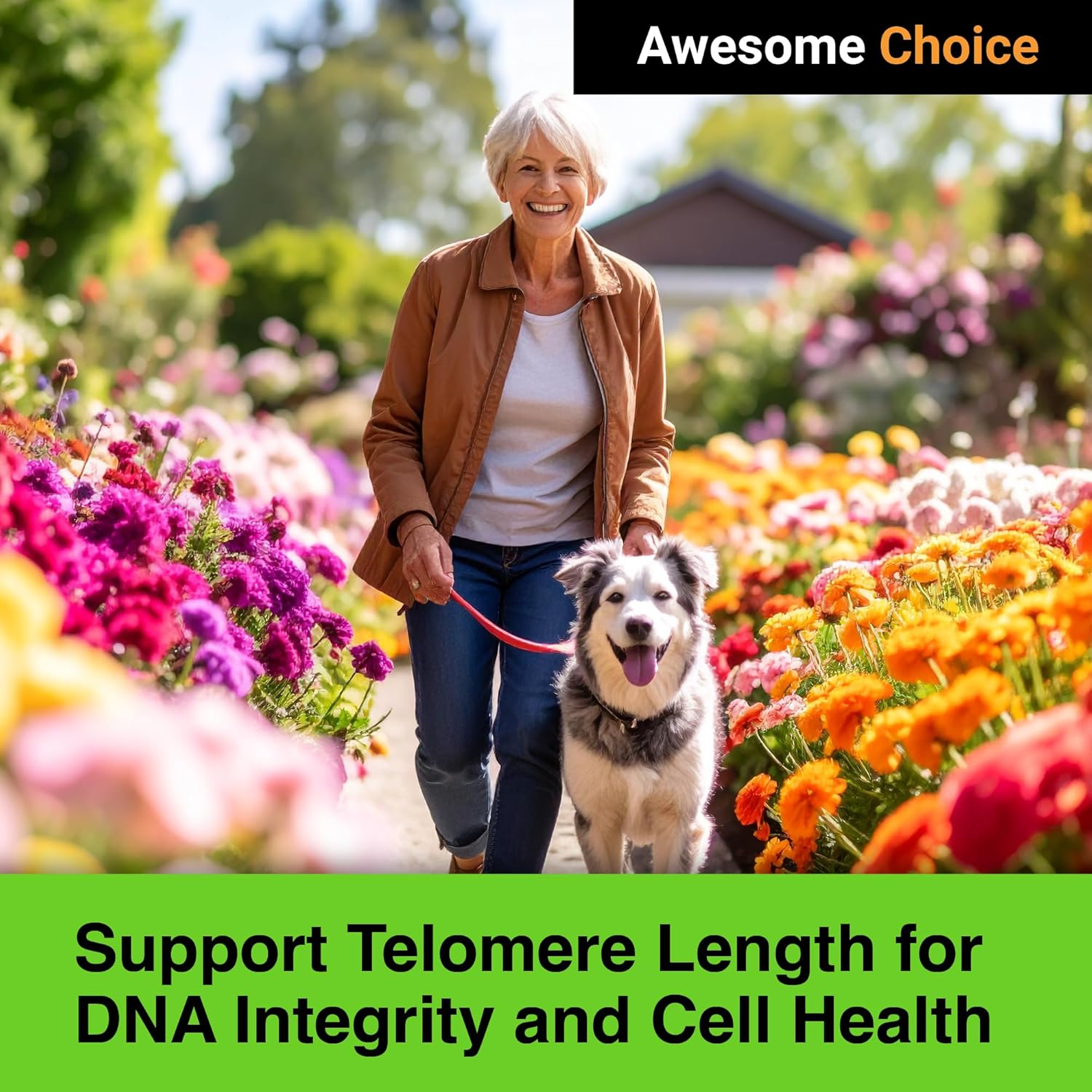 GREEN VALLEY NATURALS Genesis Telomere Length Supplement | Telos95® Astragalus Extract with CoQ10, Vitamins D3 & K2, Alpha Lipoic Acid & Grape Seed Cellular Wellness Formula | 30 Vegetarian Capsules