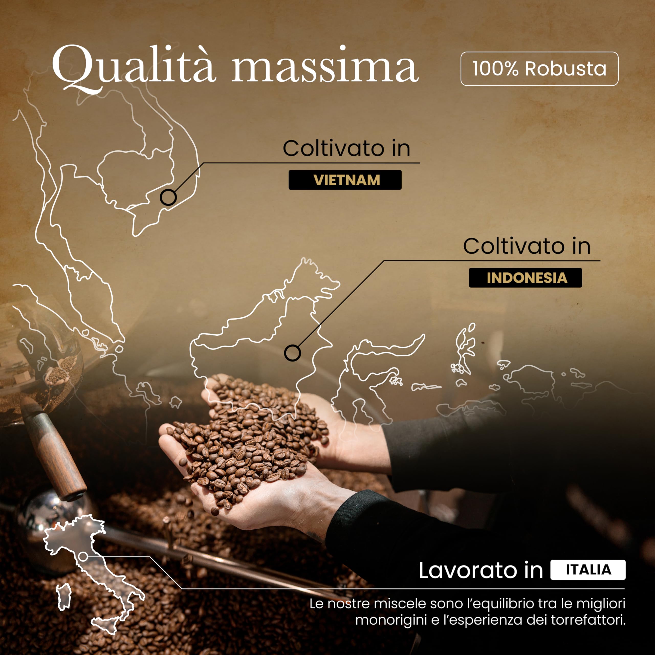 Caffè in Grani 1kg - Miscela 100% Robusta da India Vietnam Indonesia - Chicchi Interi per Moka ed Espresso - Gusto Forte e Tostato con Crema Densa - Made in Italy - CAFFÈ PONTEVECCHIO FIRENZE
