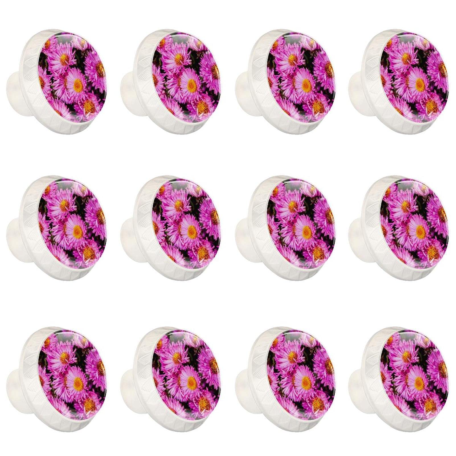Boutons de cuisine ronds Aster en lot de 12 poignées pour placard