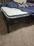 Review Image by Felishas Feline Spa Cat Grooming Felishas Feline Spa Cat Grooming