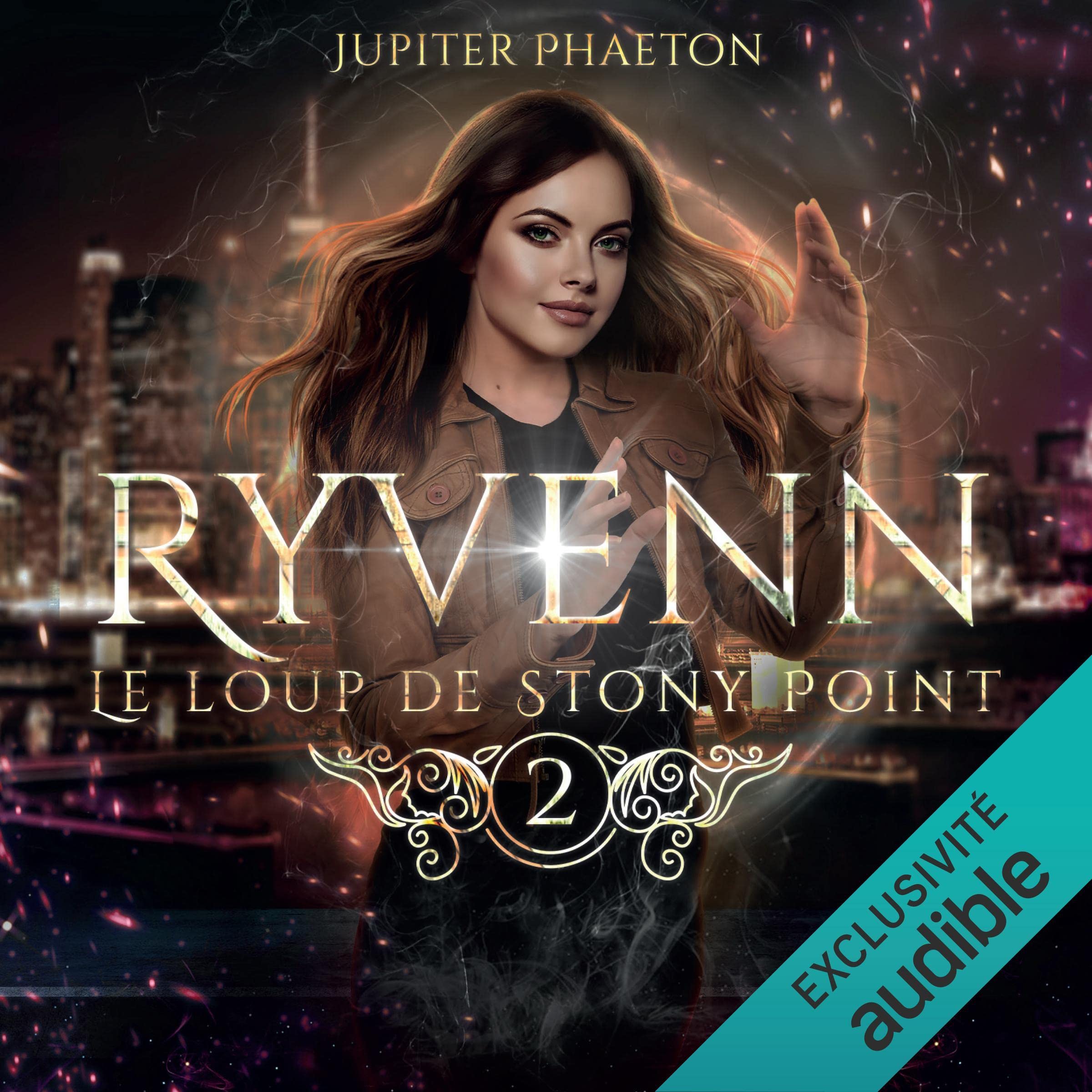 Cover art for Le loup de Stony Point