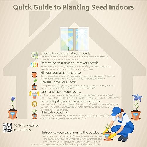 Miniatura 7 de outsidepride DedaleraMix, MIX