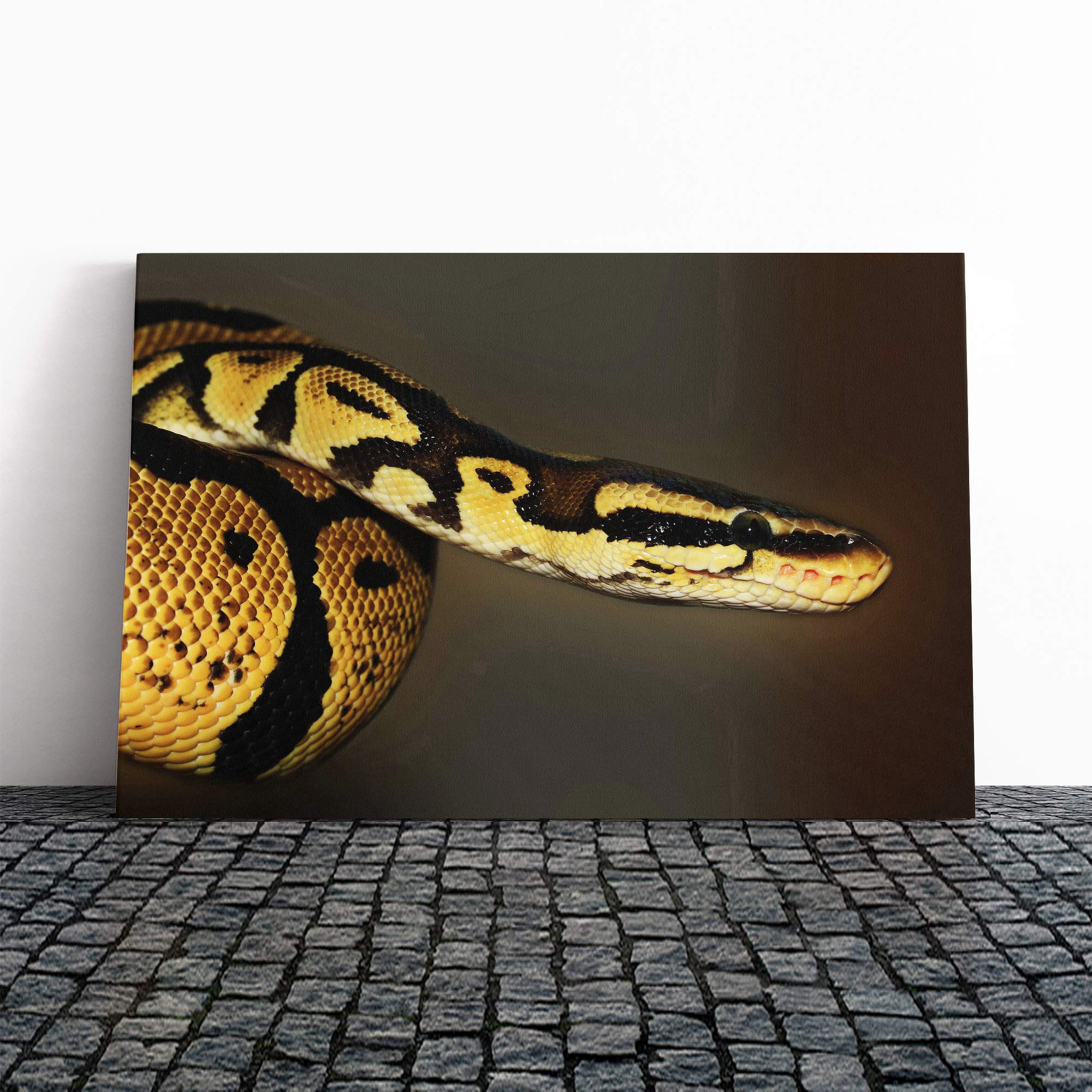 Python Snake Canvas Print | Gallery Wrapped 30mm Frame Wall Art | 24x16 inches | Ready to Hang | Modern Animals Picture | Living Room Bedroom Lounge Office