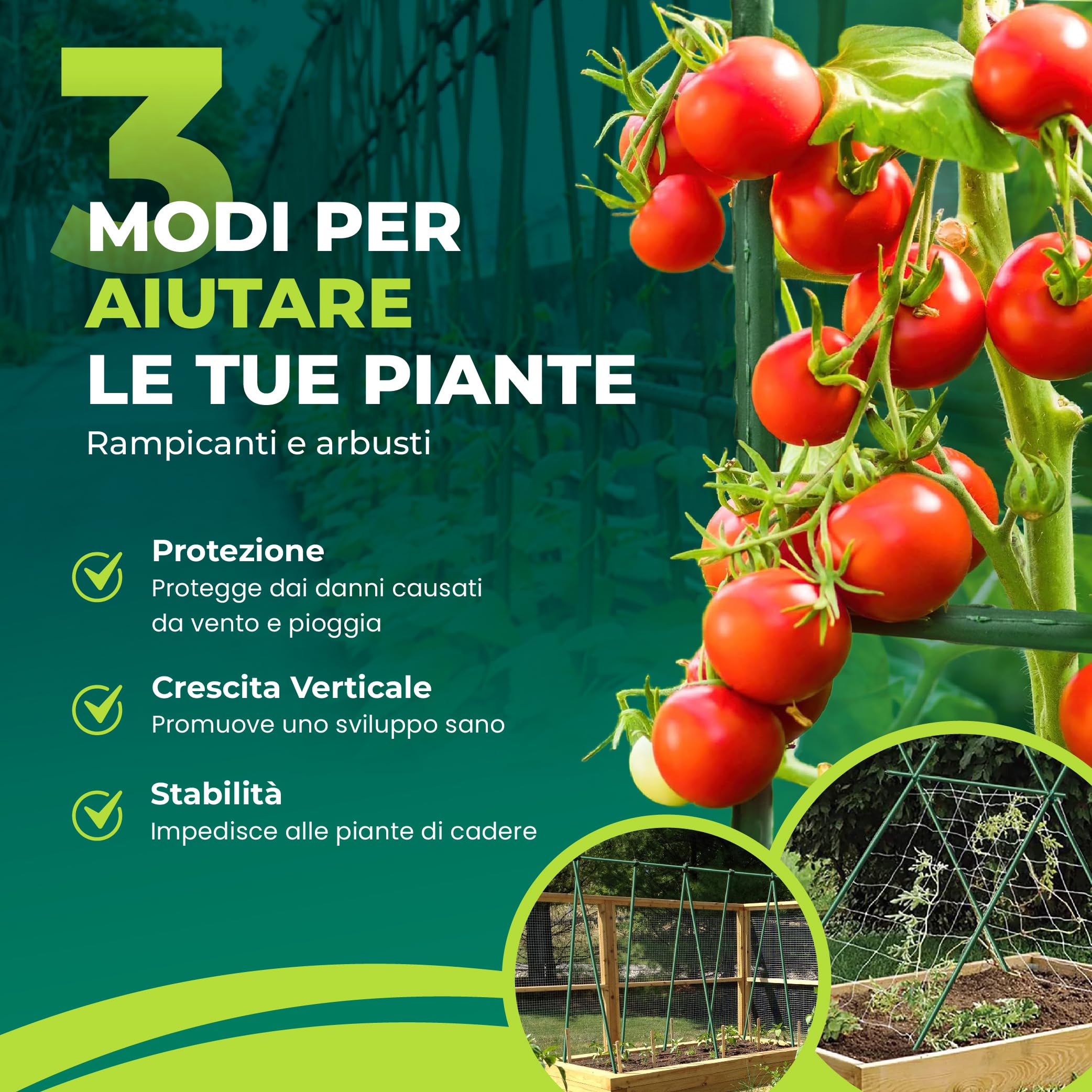 Control Garden - Confezione da 30 tutori in acciaio plastificato per piante, altezza 180 cm, diametro 10 mm, aste per la crescita delle piante, adatto per interni ed esterni