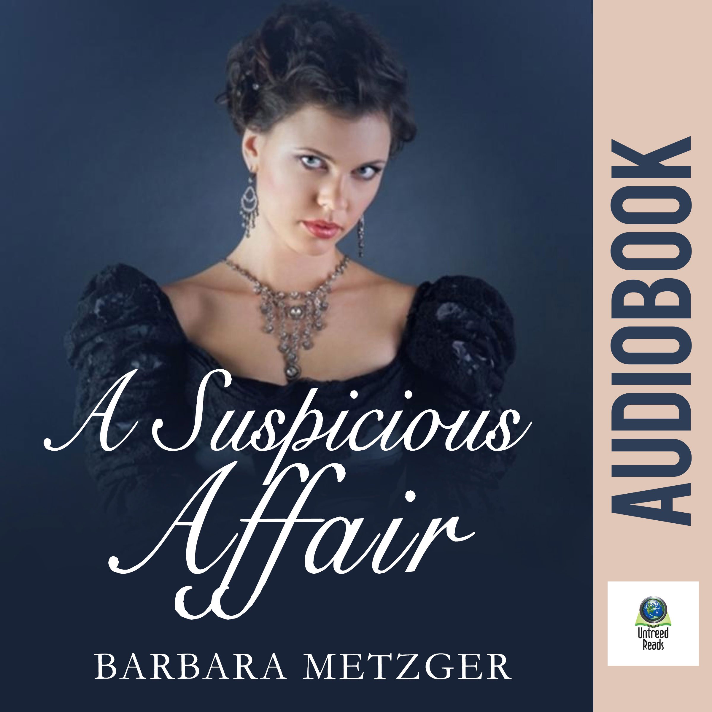 Cover art for A Suspicious Affair
