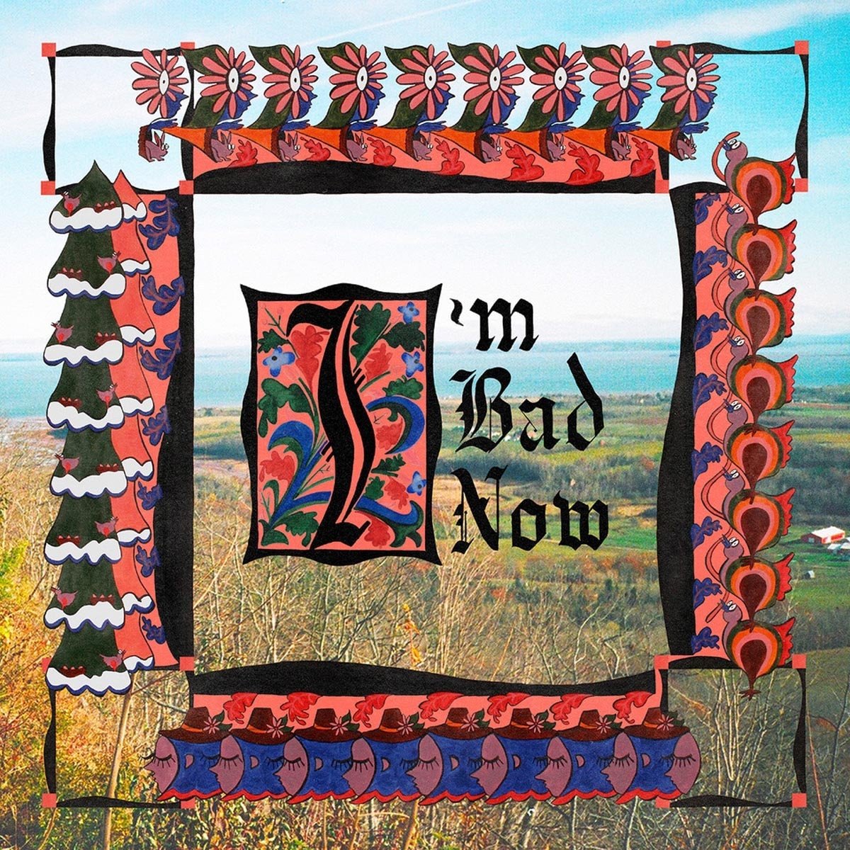 I'm Bad Now [VINYL]