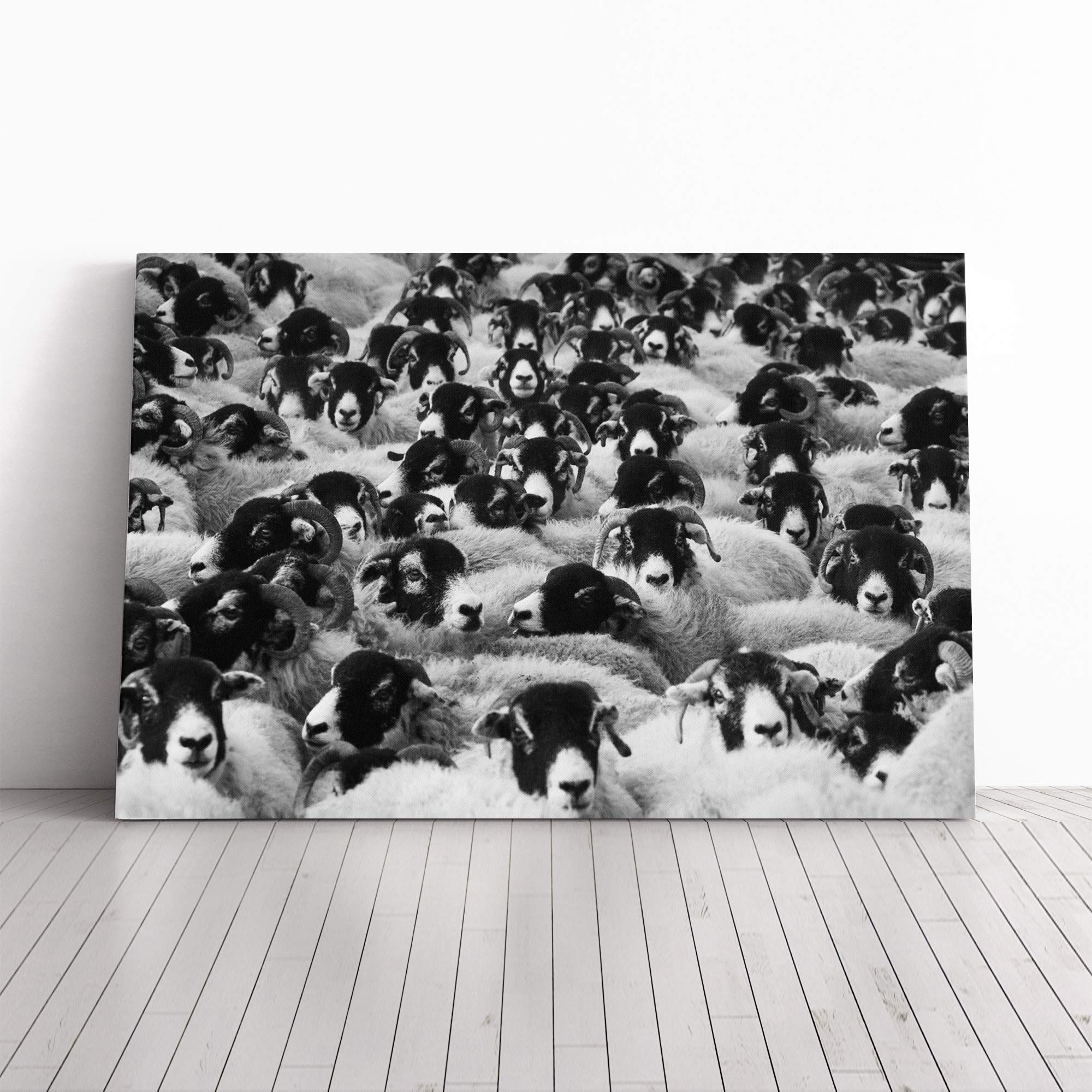 Flock of Sheep Canvas Print | Gallery Wrapped 30mm Frame Wall Art | 30x20 inches | Ready to Hang | Modern Animals Picture | Living Room Bedroom Lounge Office