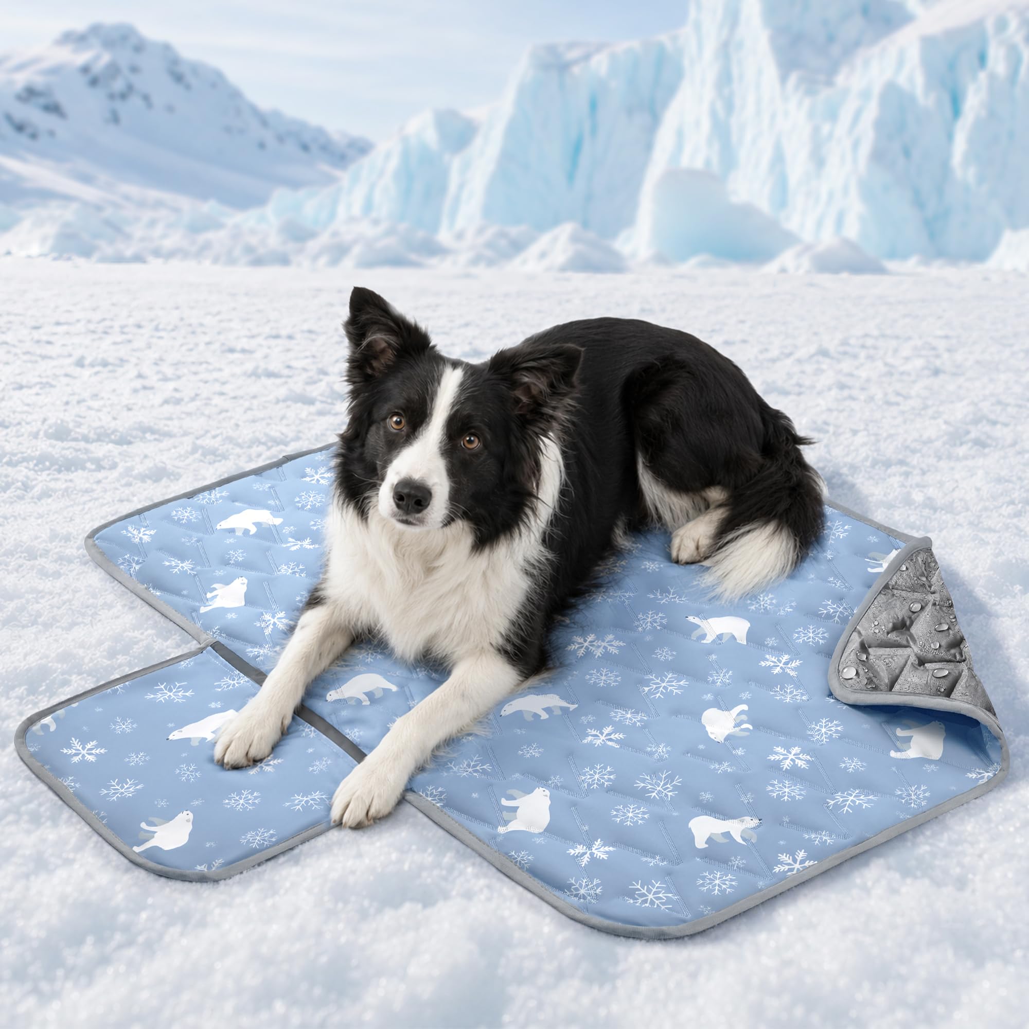 Angelpet Q-MAX - Tappetino refrigerante per cani e gatti di taglia media, 100 x 70 cm, senza gel, senza gel, tessuto Cool-Touch, fondo impermeabile, tasca laterale, tappetino estivo lavabile, per