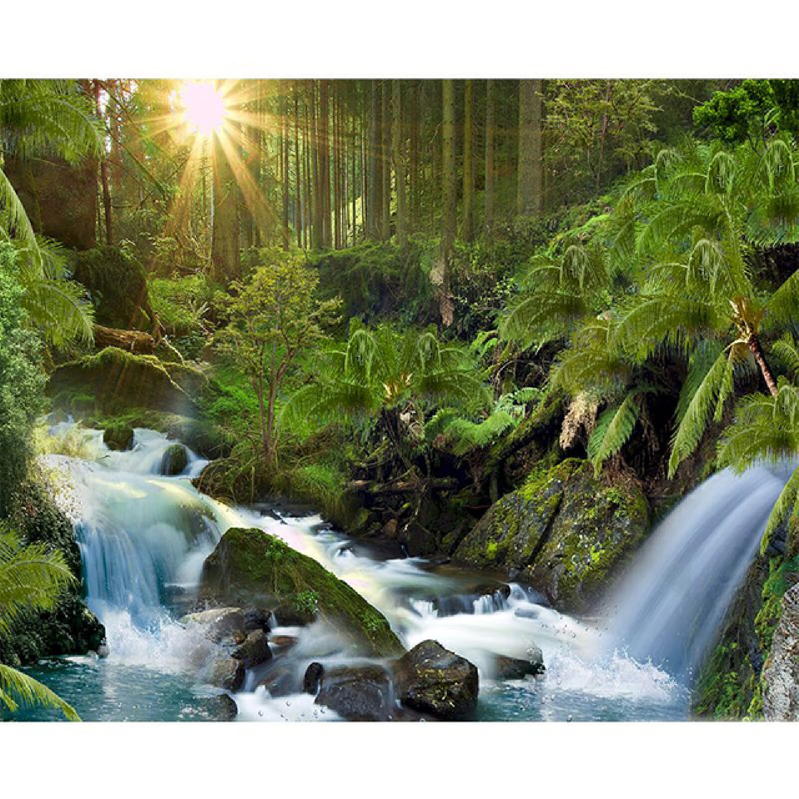 5000 Bunte Puzzleteile Hirschhornbegonie Kunstsammlung, Puzzlekunst FüR Erwachsene Und Kinder, Hochwertiger Druck Fertige Größe 156×105cm