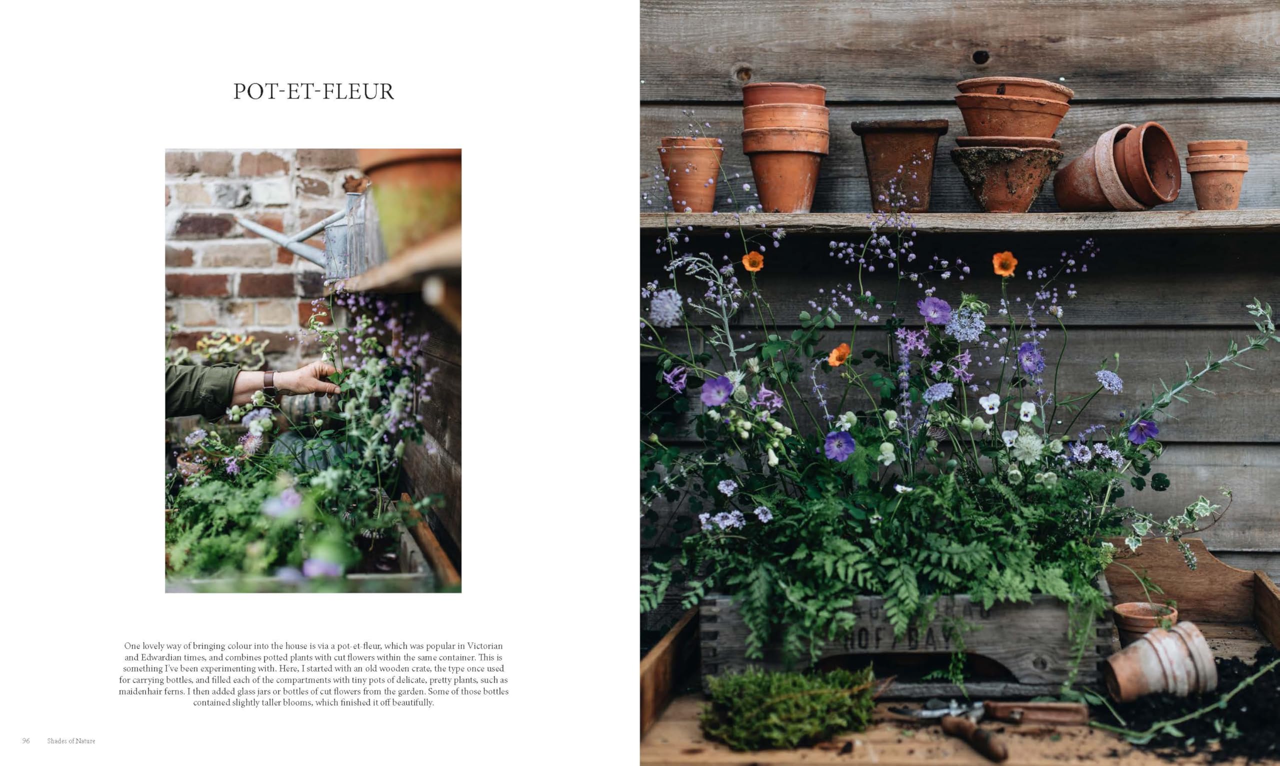 The Nature of Decorating: Interiors Inspired by the Natural World